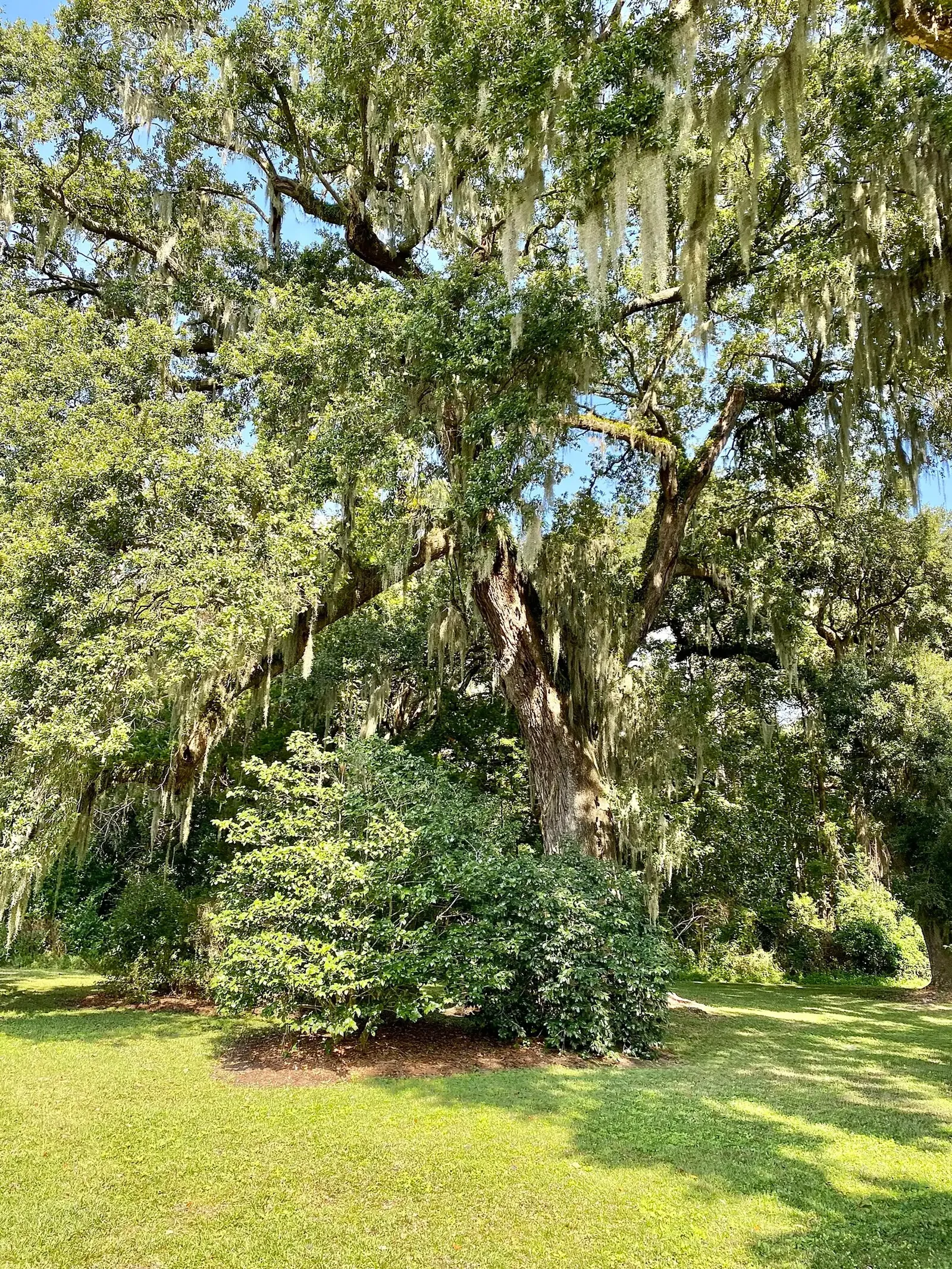 Charles Pinckney National Historic Site