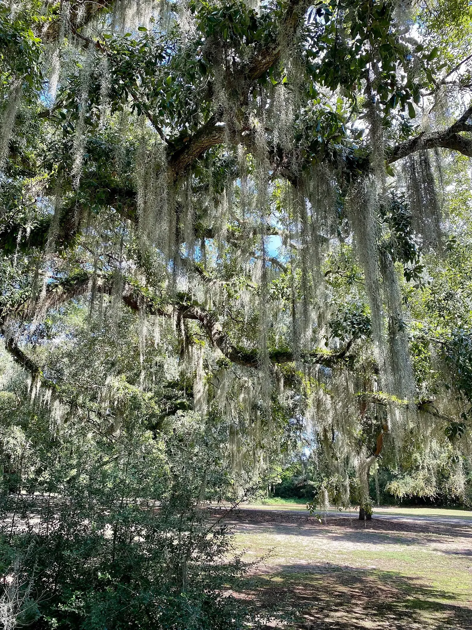 Charles Pinckney National Historic Site