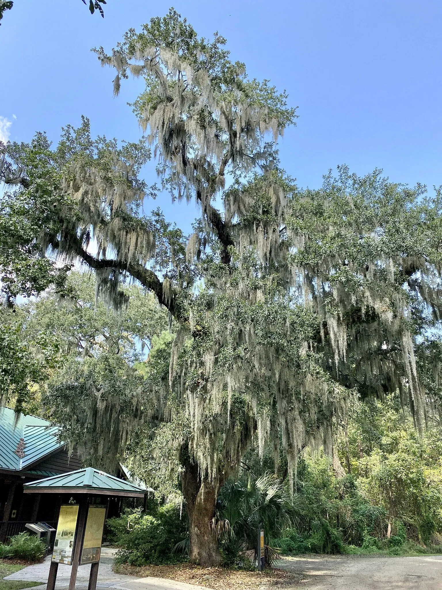 Charles Pinckney National Historic Site