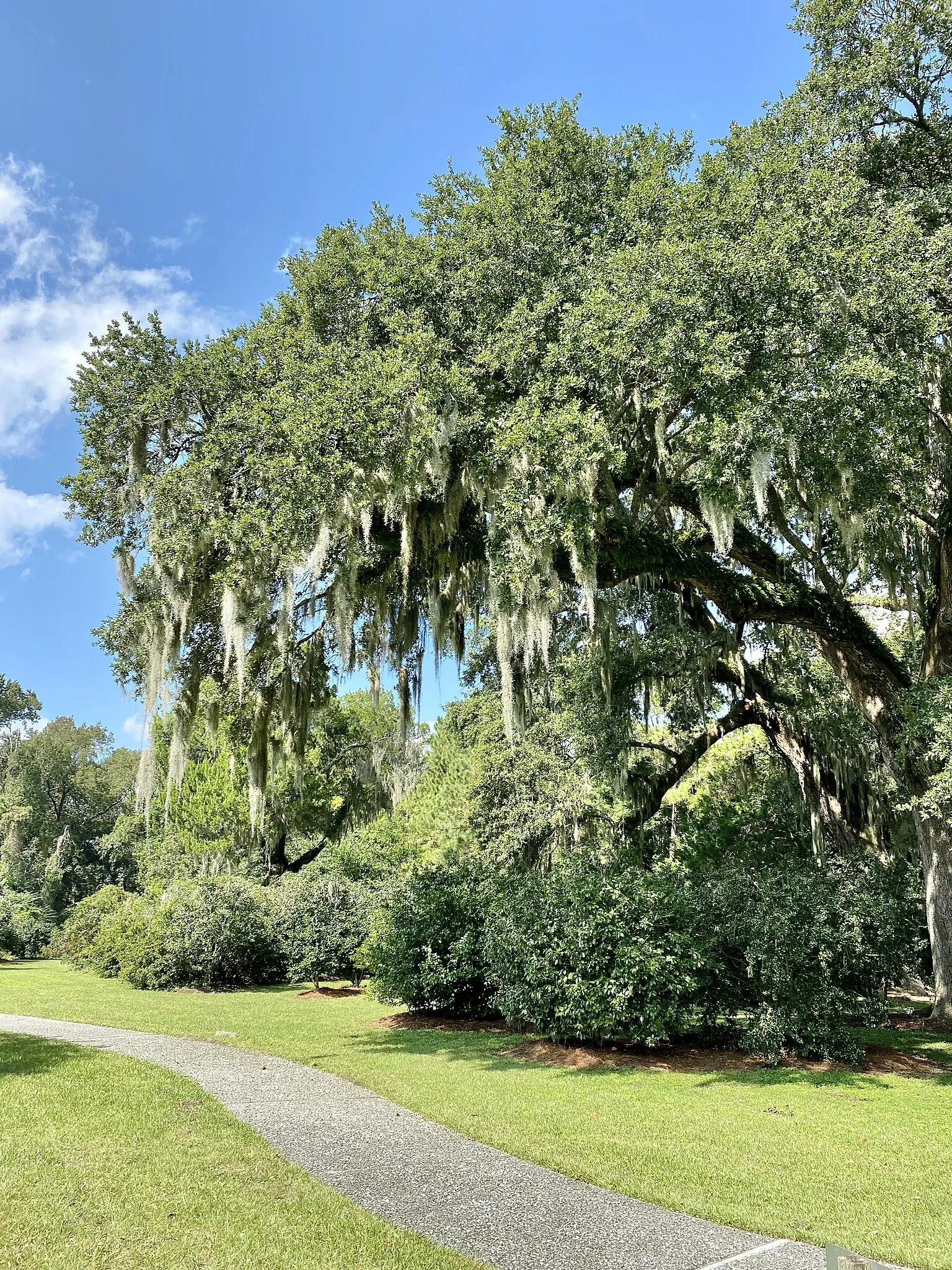 Charles Pinckney National Historic Site