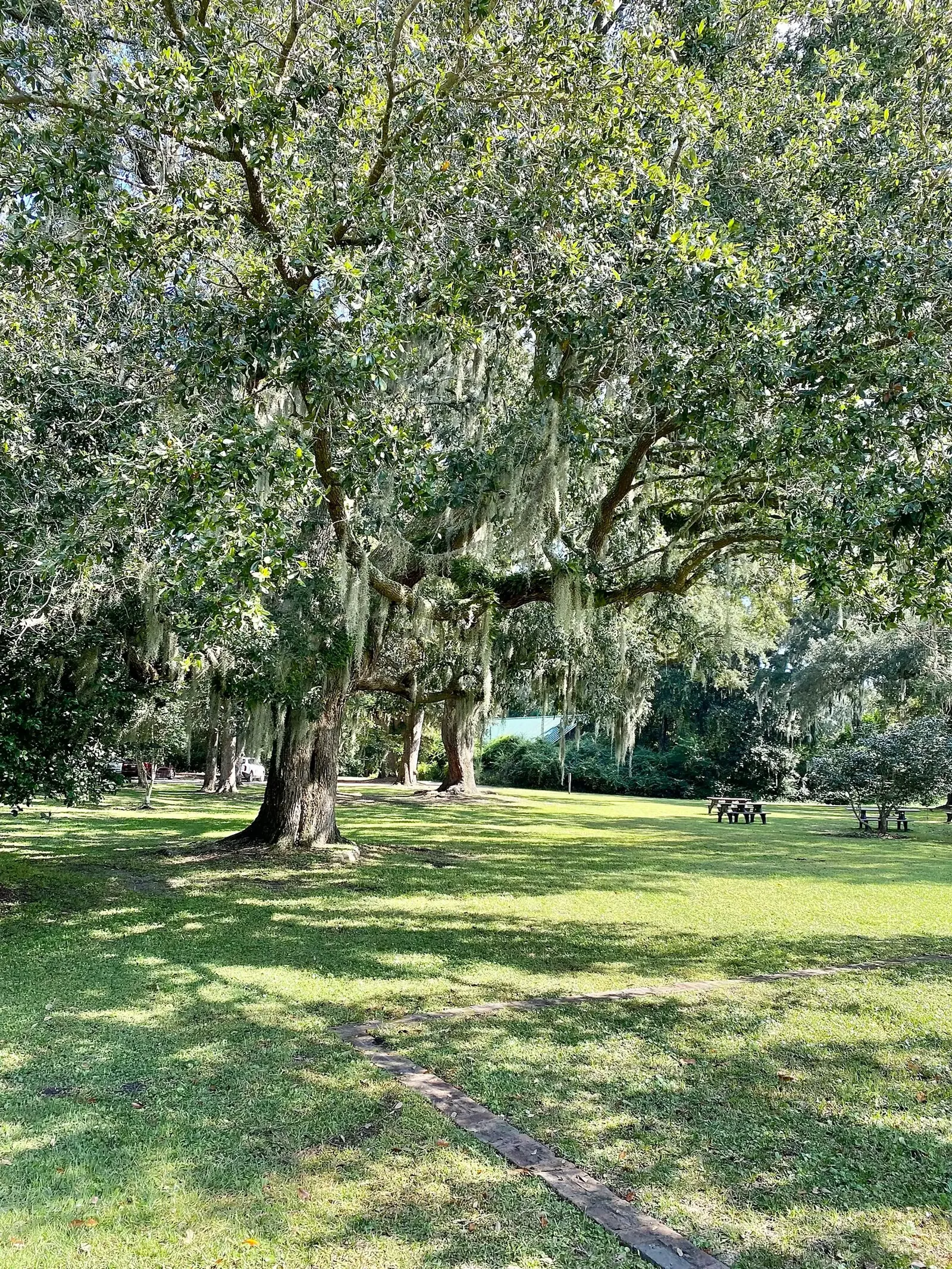 Charles Pinckney National Historic Site