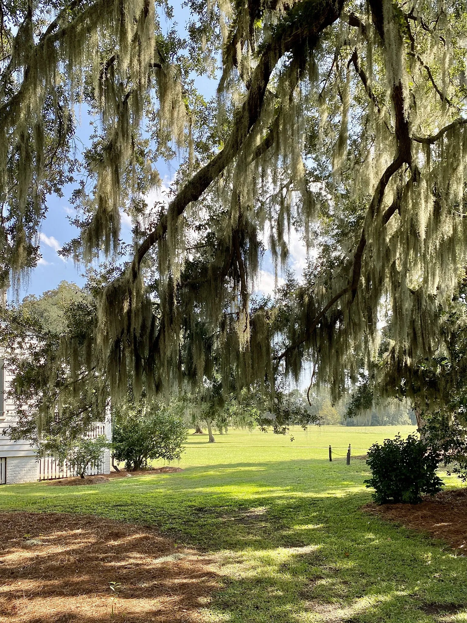Charles Pinckney National Historic Site