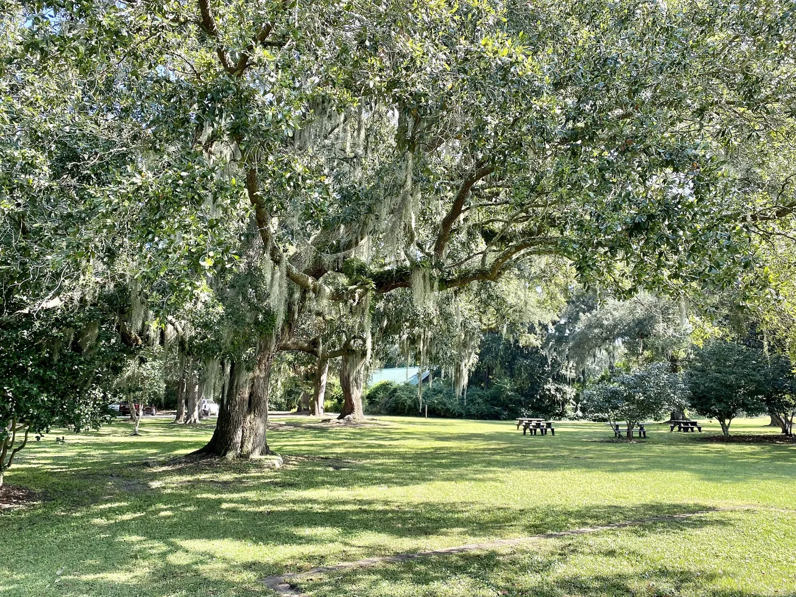 Charles Pinckney National Historic Site