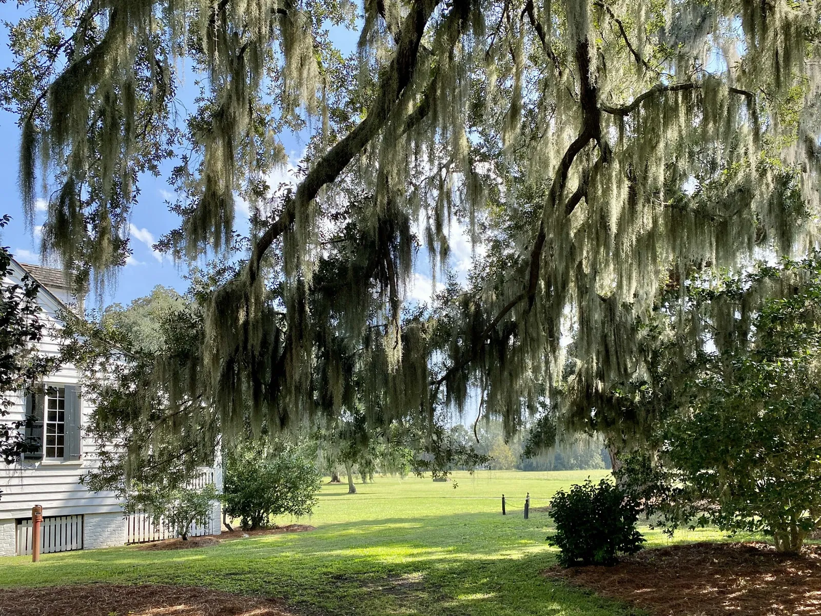 Charles Pinckney National Historic Site