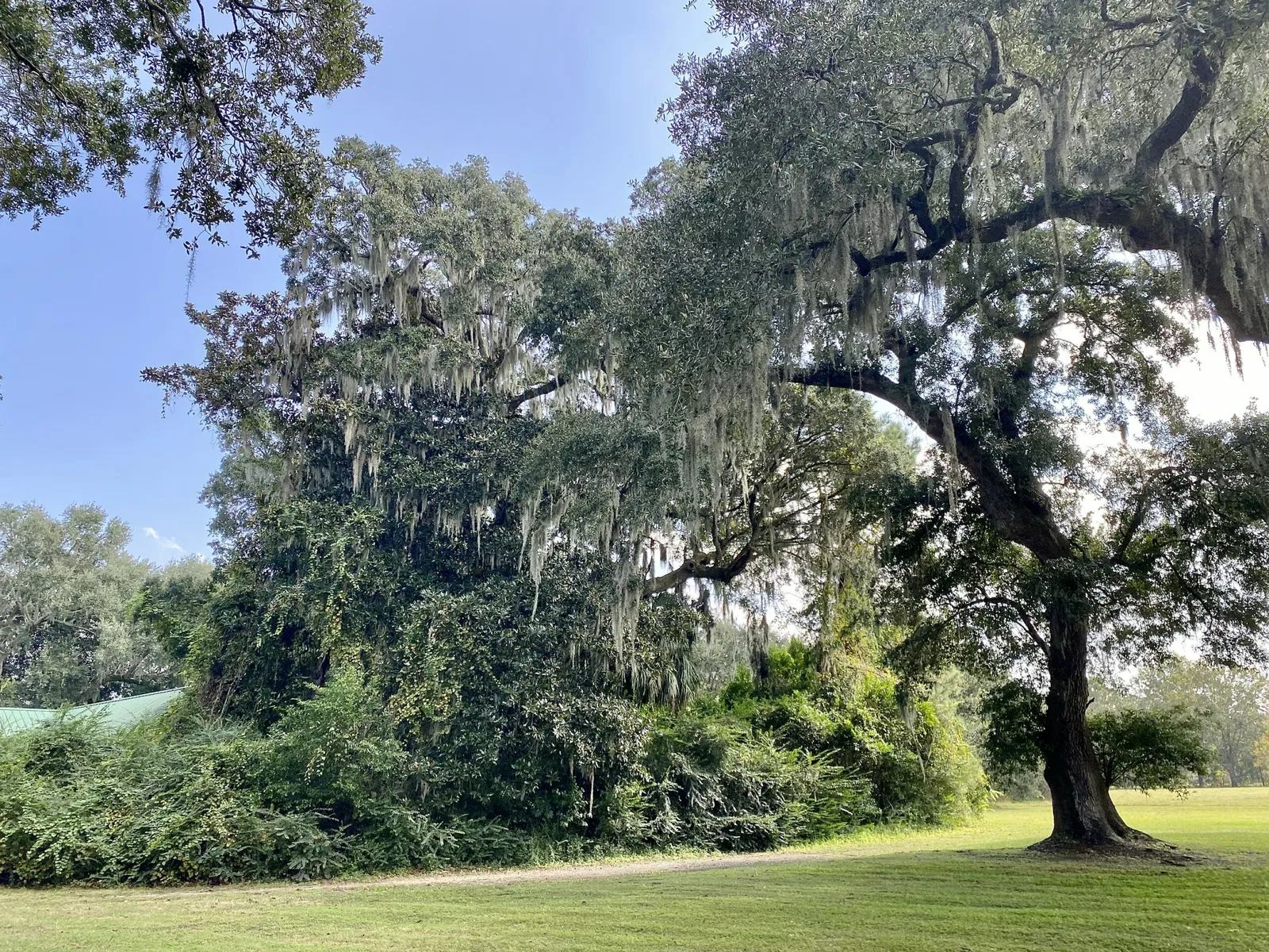 Charles Pinckney National Historic Site