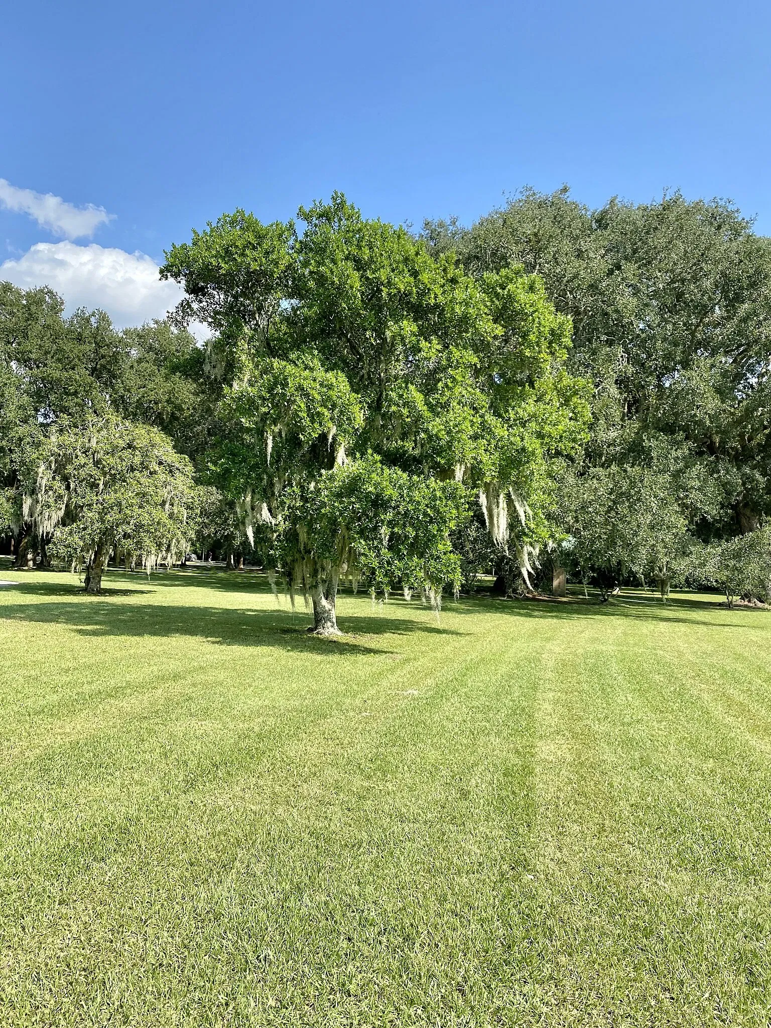 Charles Pinckney National Historic Site
