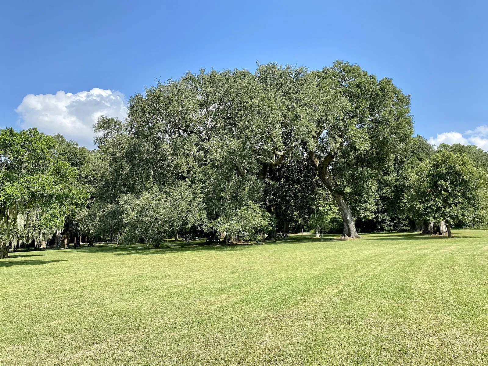 Charles Pinckney National Historic Site