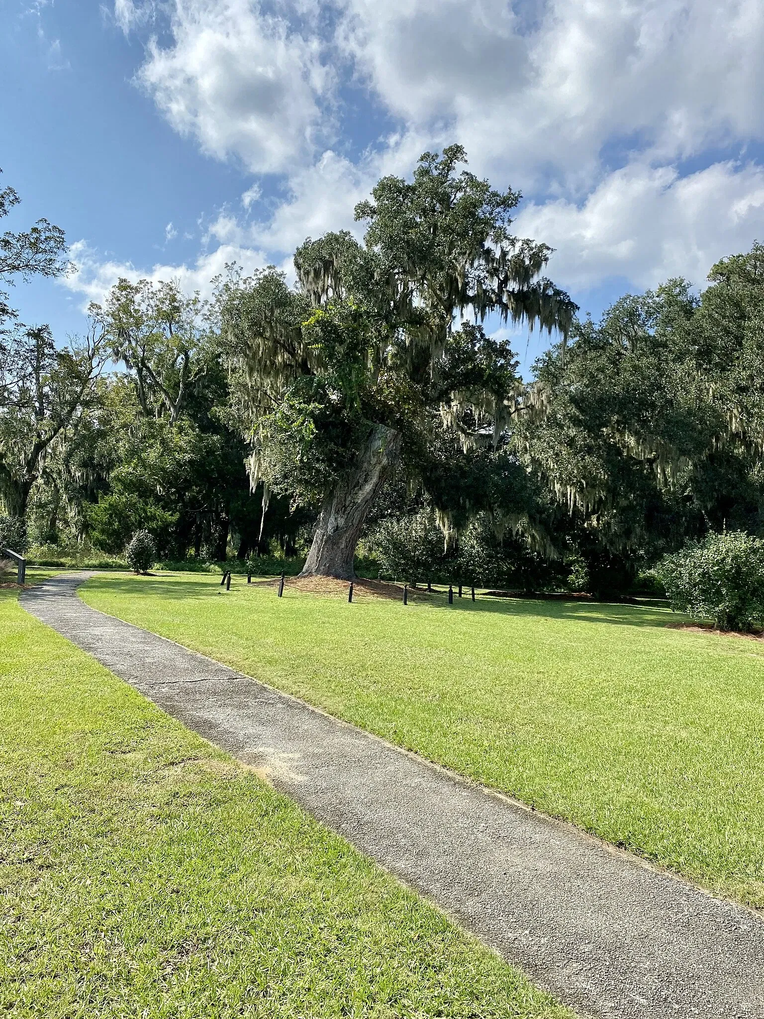 Charles Pinckney National Historic Site