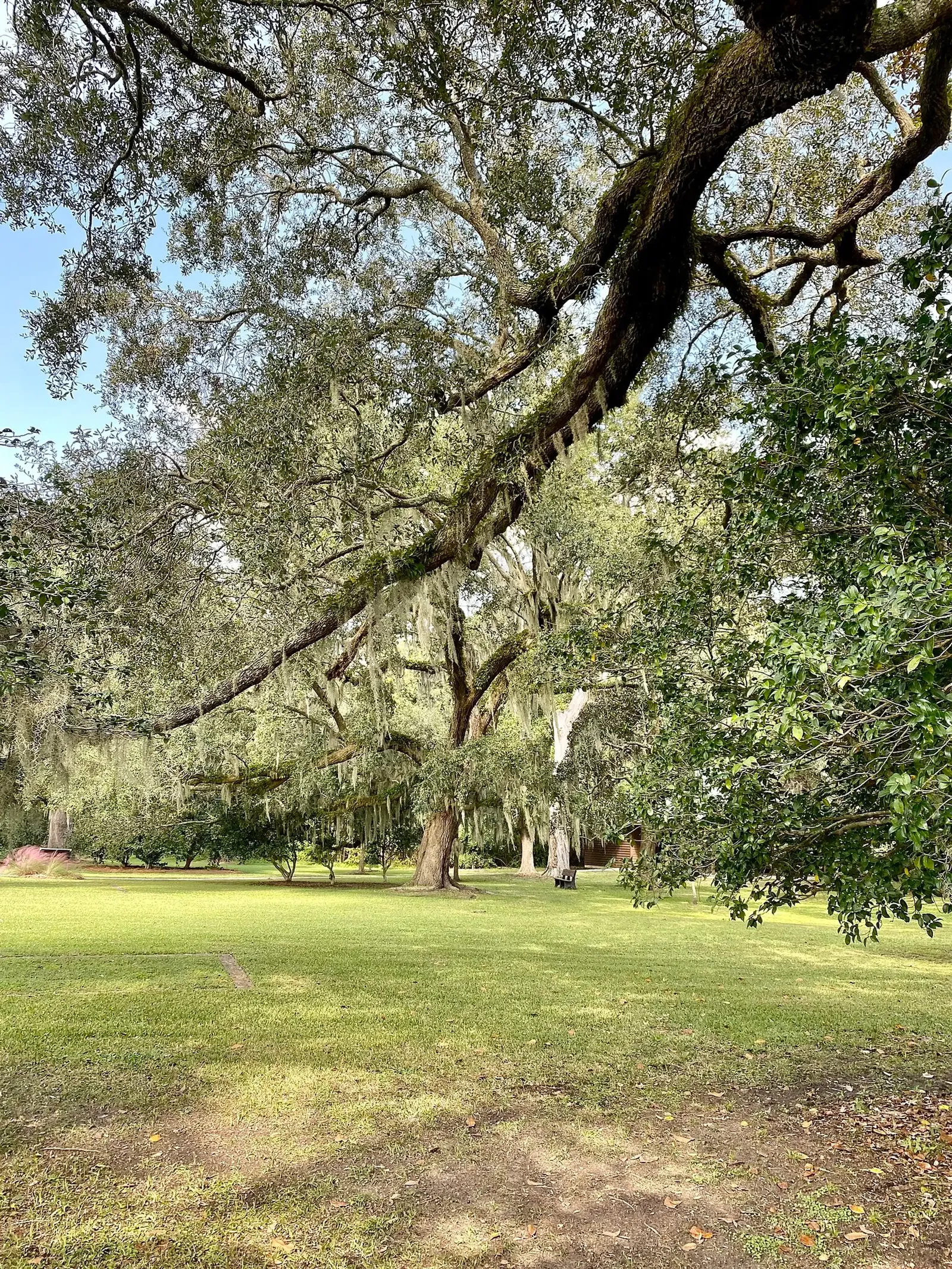 Charles Pinckney National Historic Site