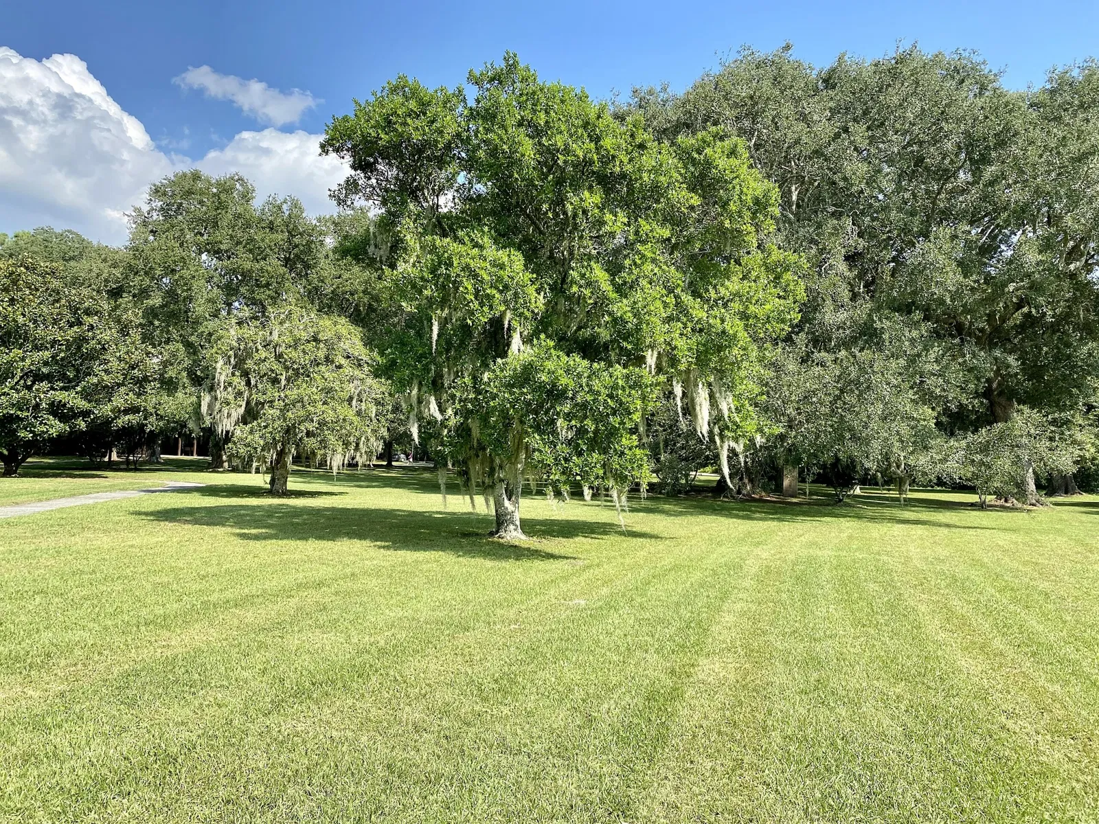 Charles Pinckney National Historic Site