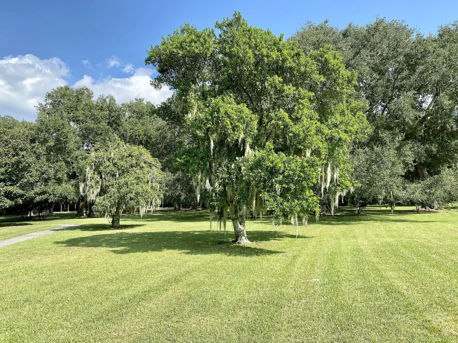 Charles Pinckney National Historic Site