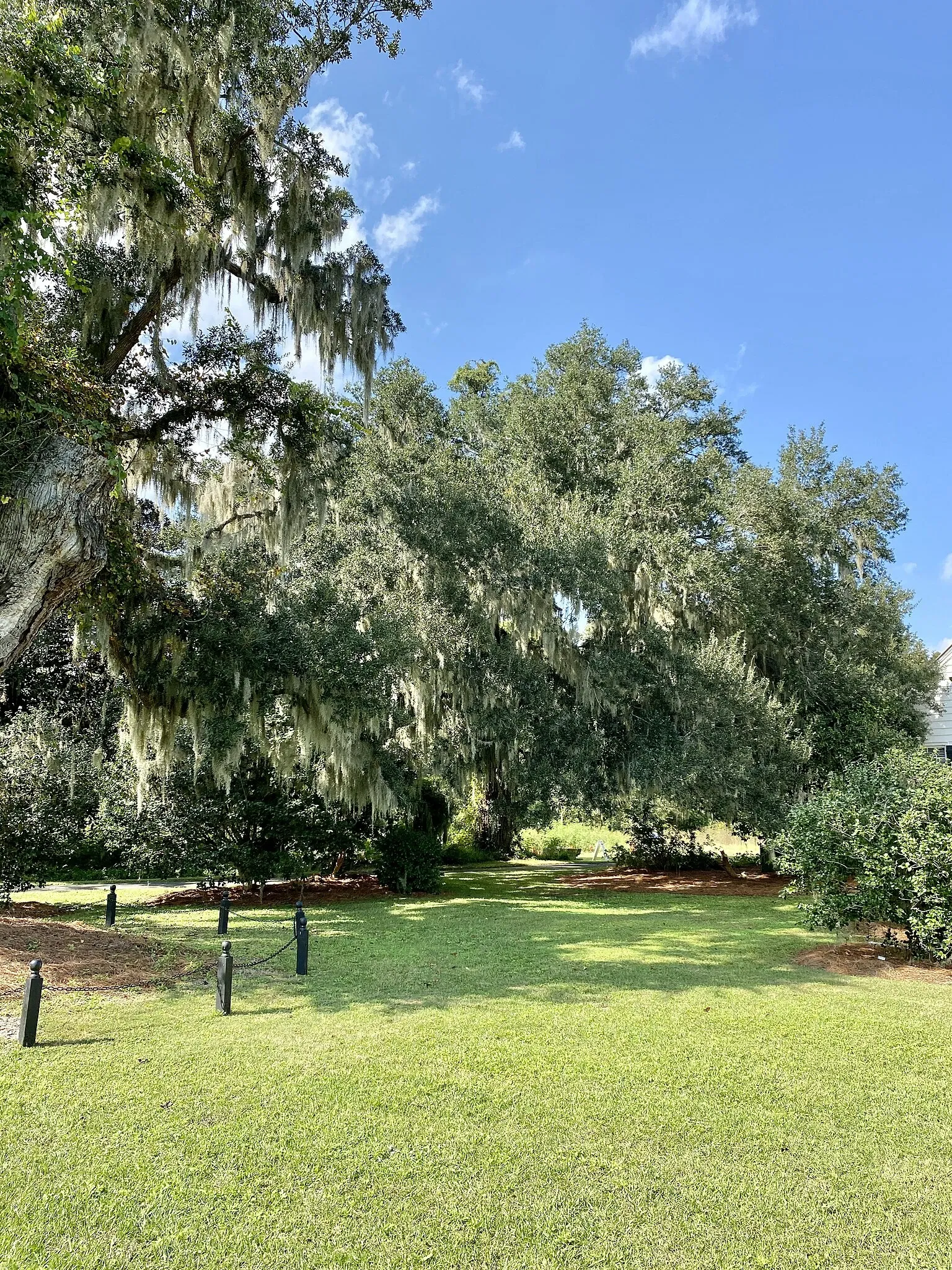 Charles Pinckney National Historic Site