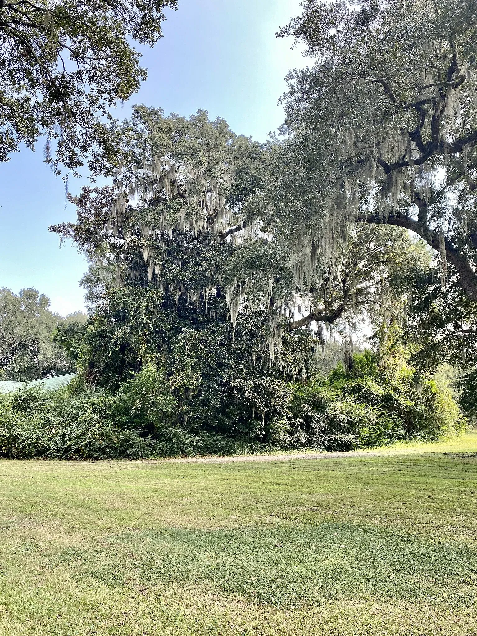 Charles Pinckney National Historic Site