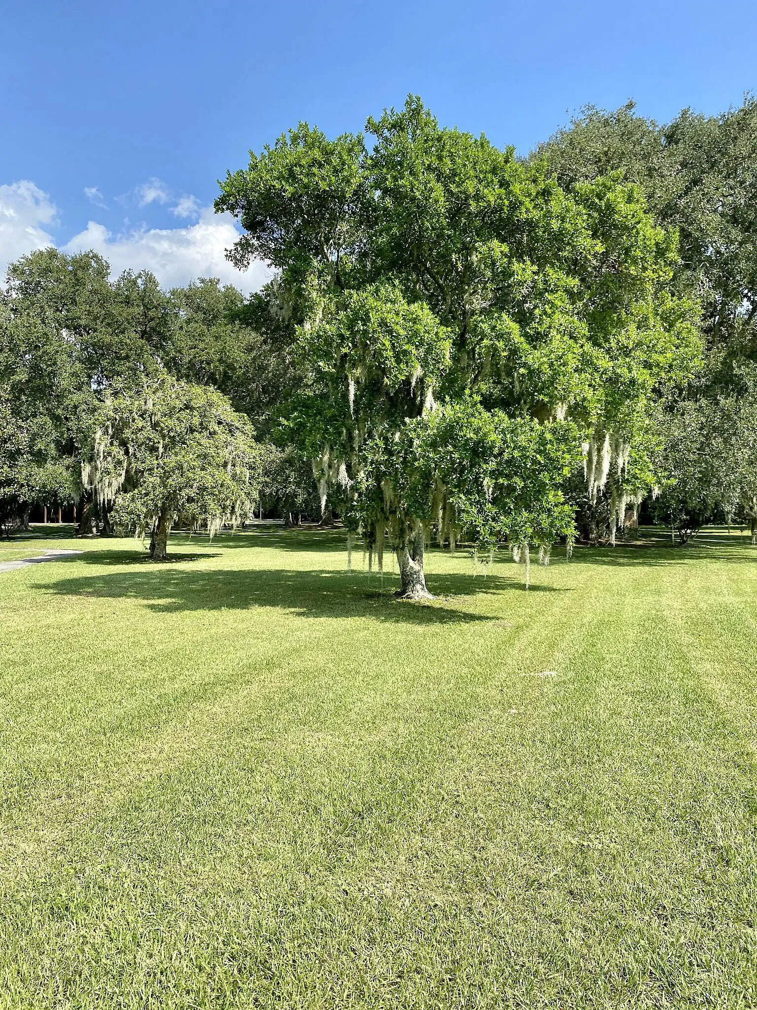 Charles Pinckney National Historic Site