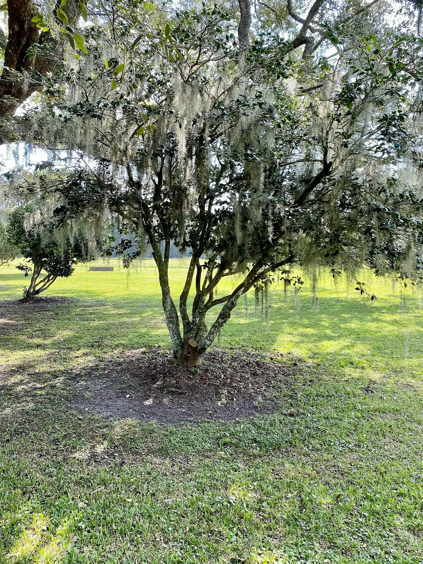 Charles Pinckney National Historic Site