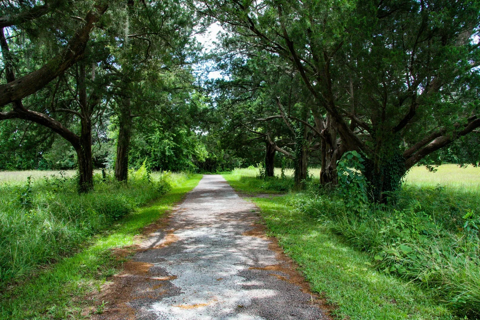 Charles Pinckney National Historic Site