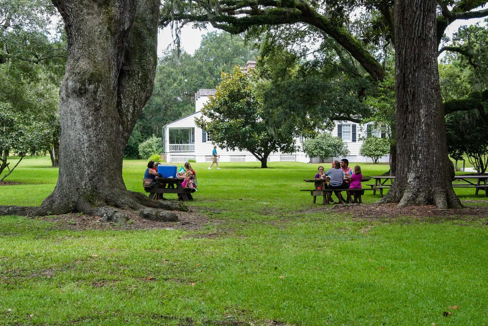 Charles Pinckney National Historic Site