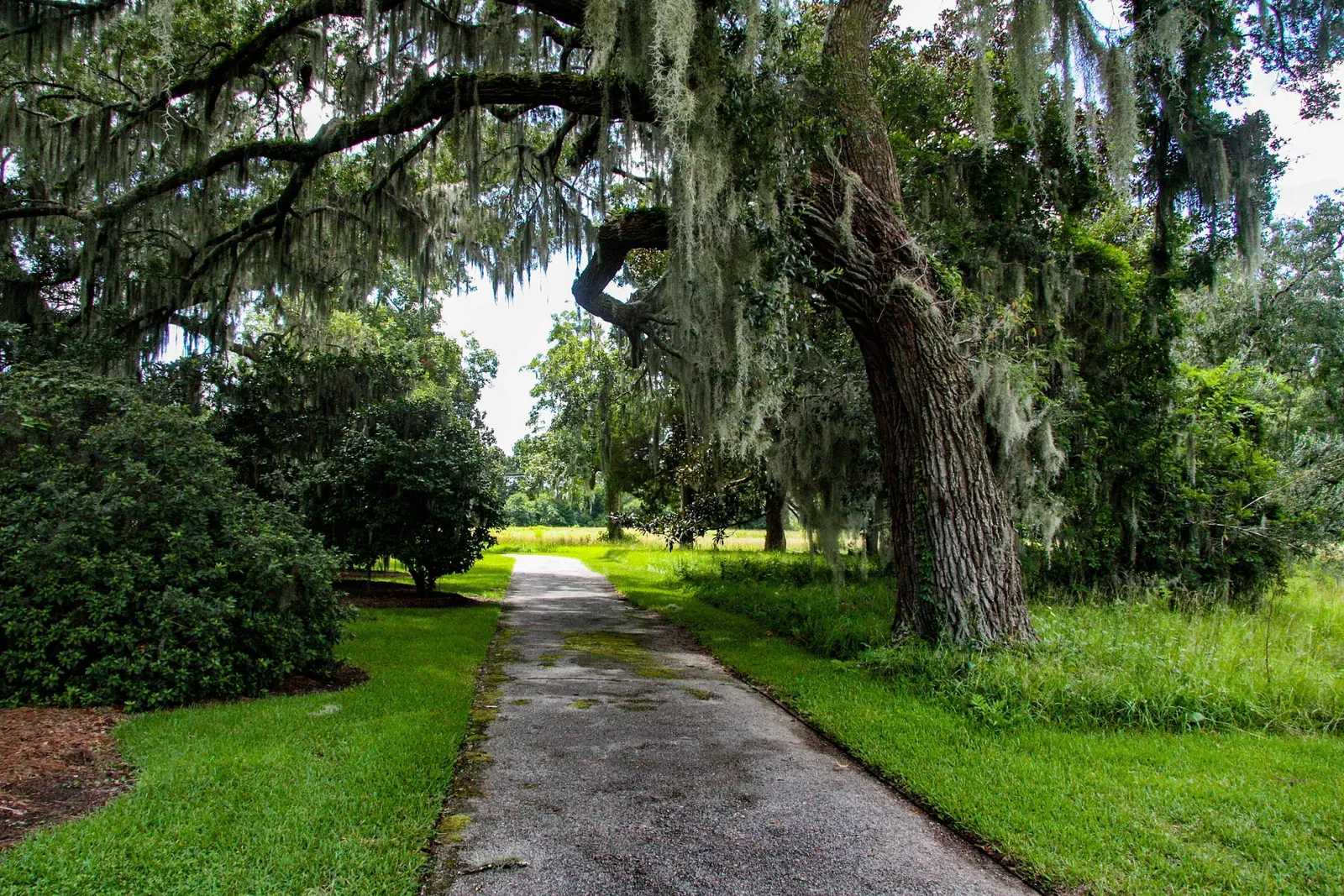 Charles Pinckney National Historic Site