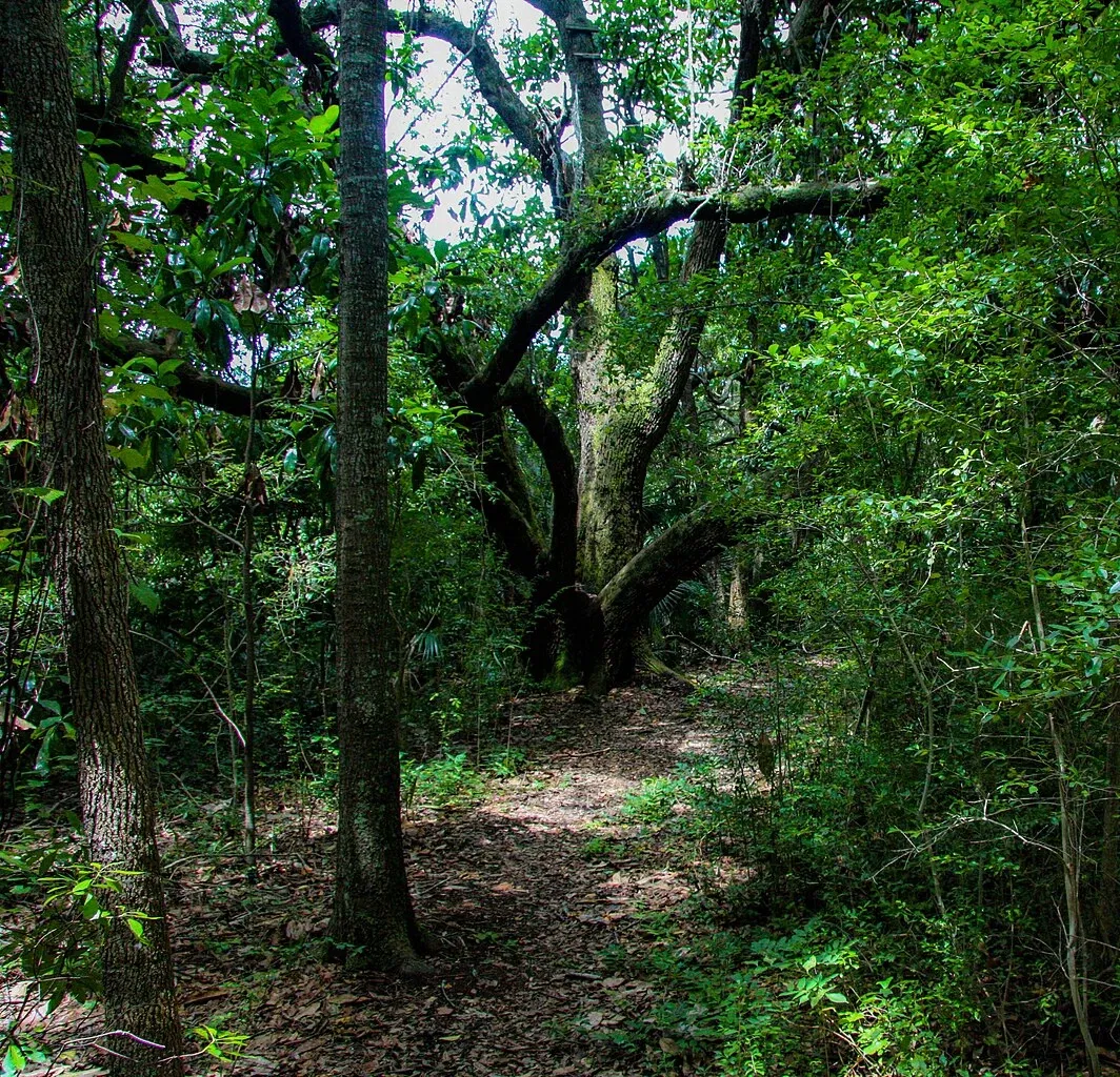 Charles Pinckney National Historic Site