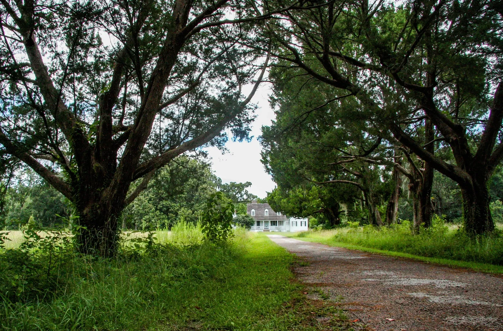 Charles Pinckney National Historic Site