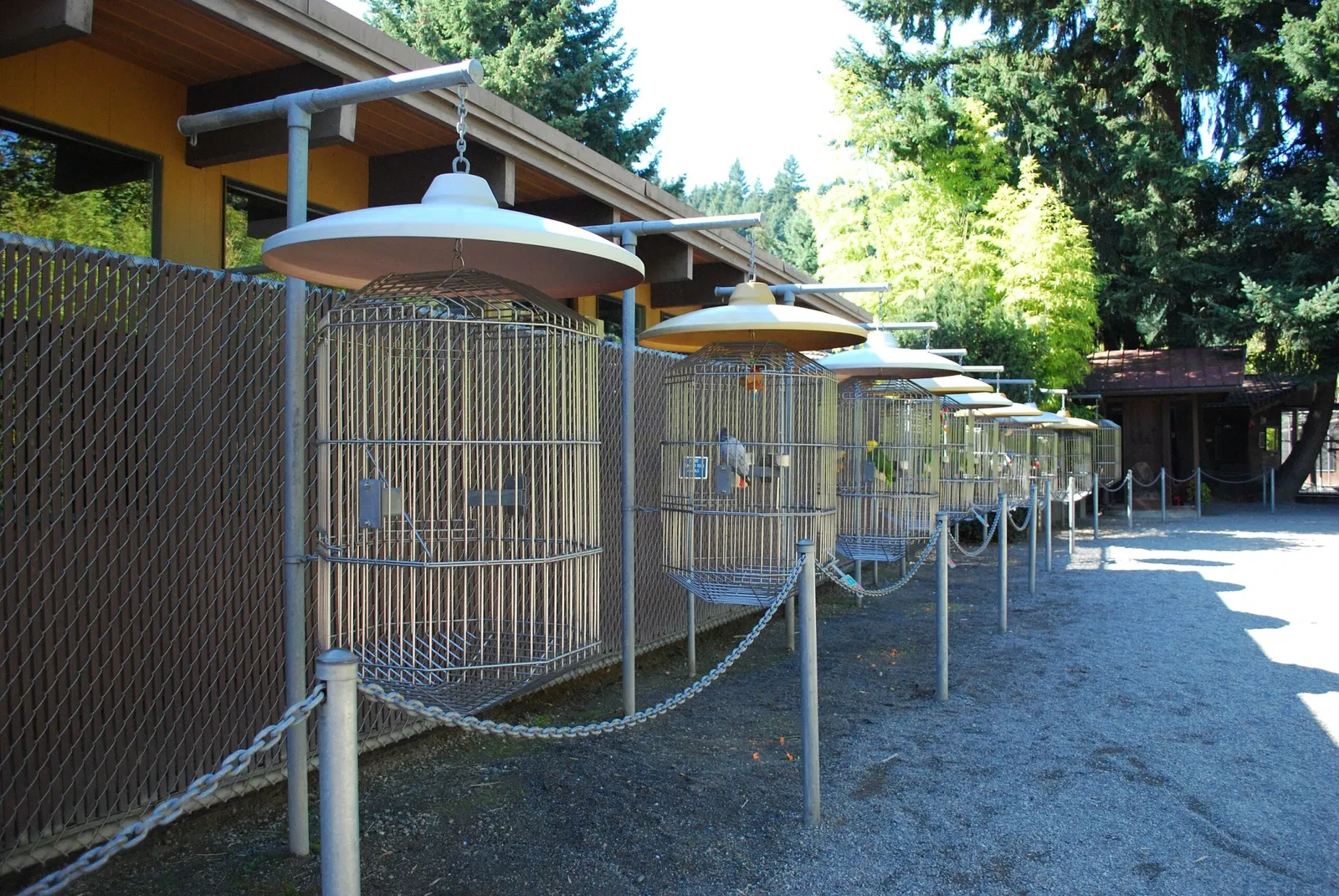Cougar Mountain Zoo