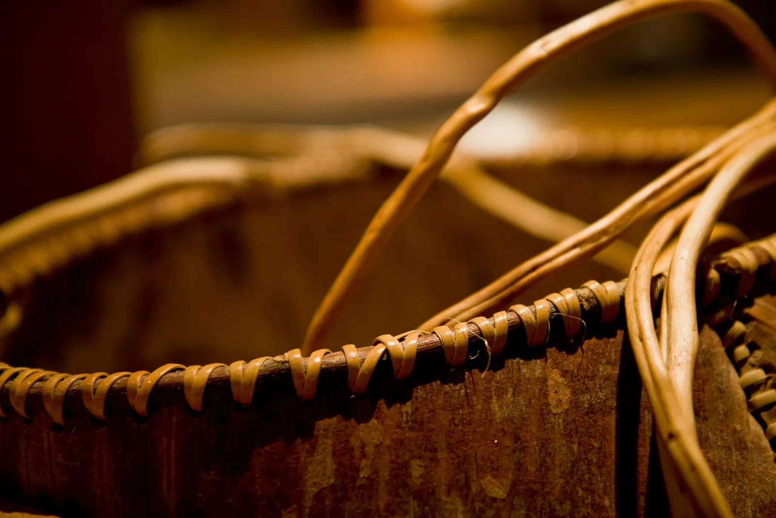 Canadian Canoe Museum