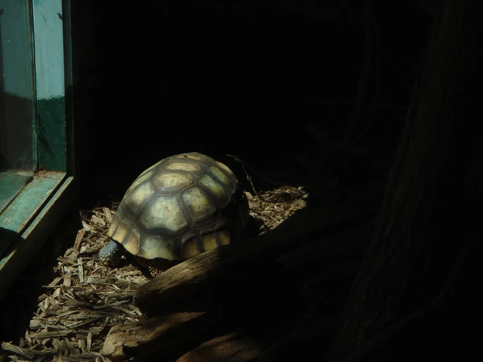 Riverview Park & Zoo