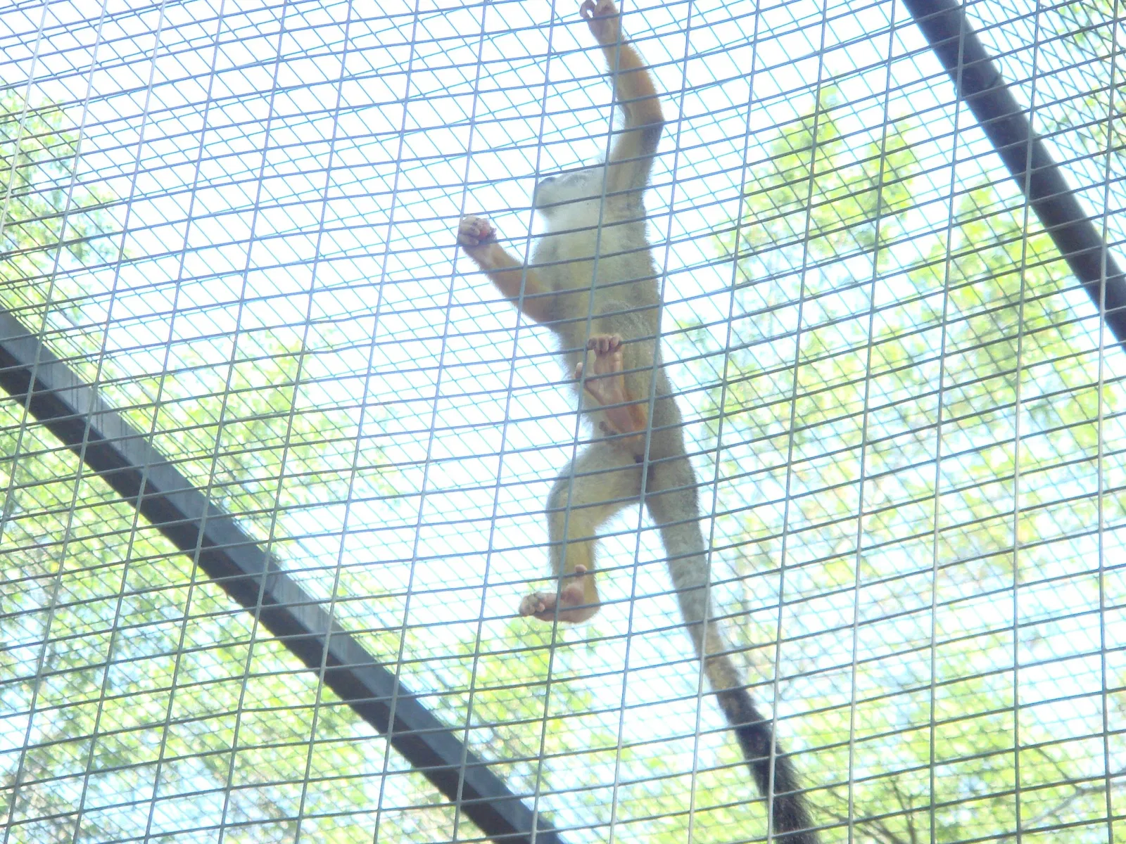 Riverview Park & Zoo