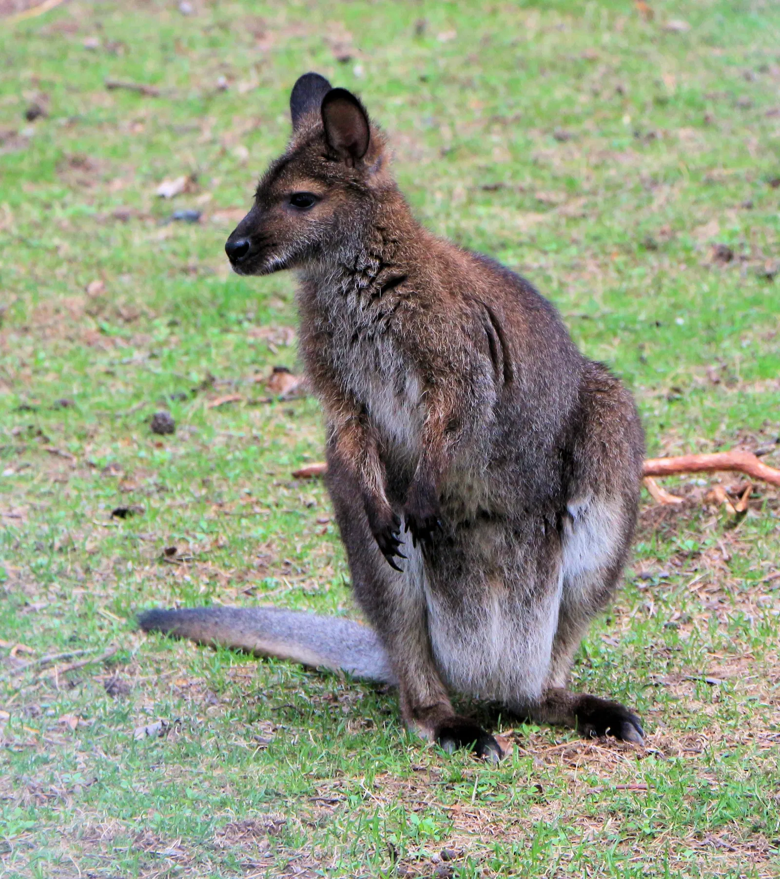 Riverview Park & Zoo