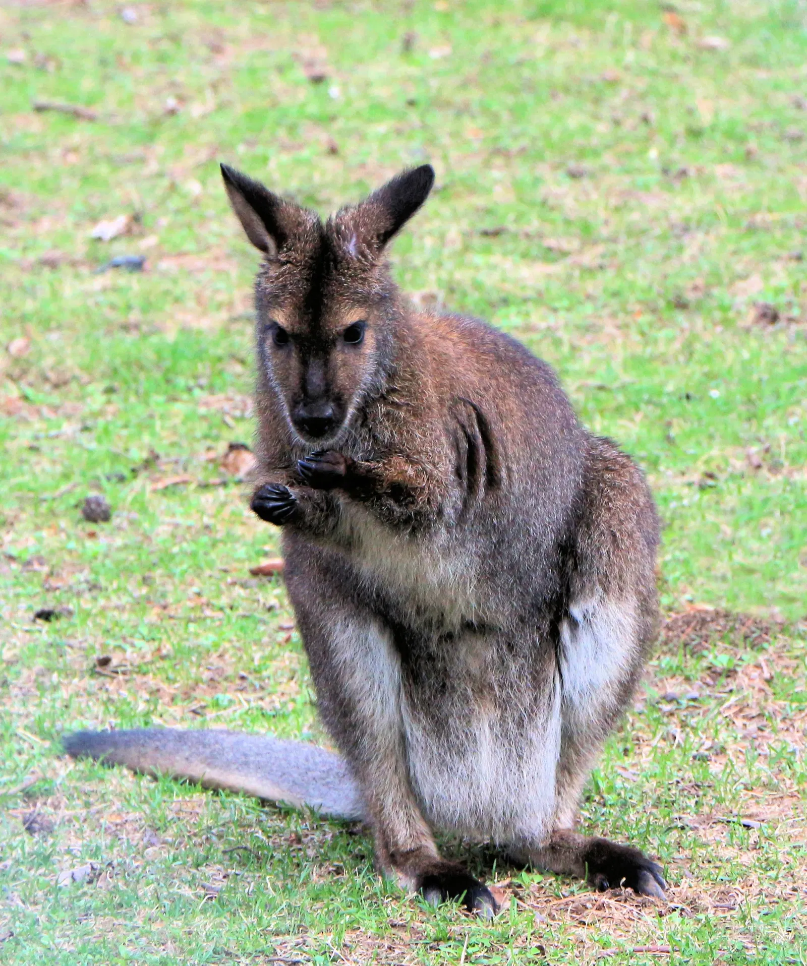 Riverview Park & Zoo