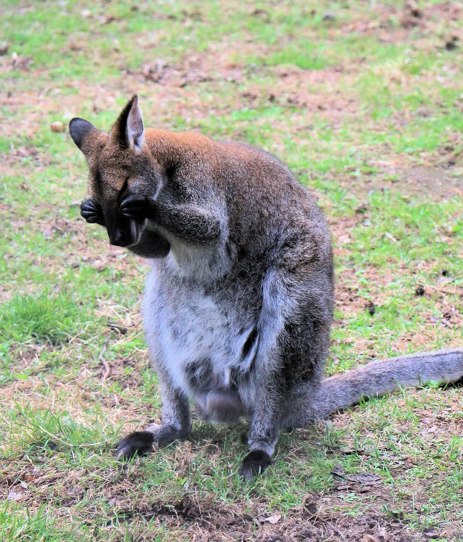 Riverview Park & Zoo