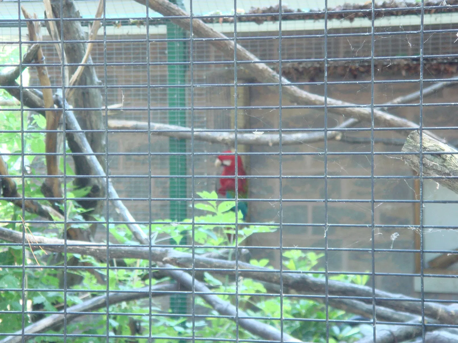 Riverview Park & Zoo