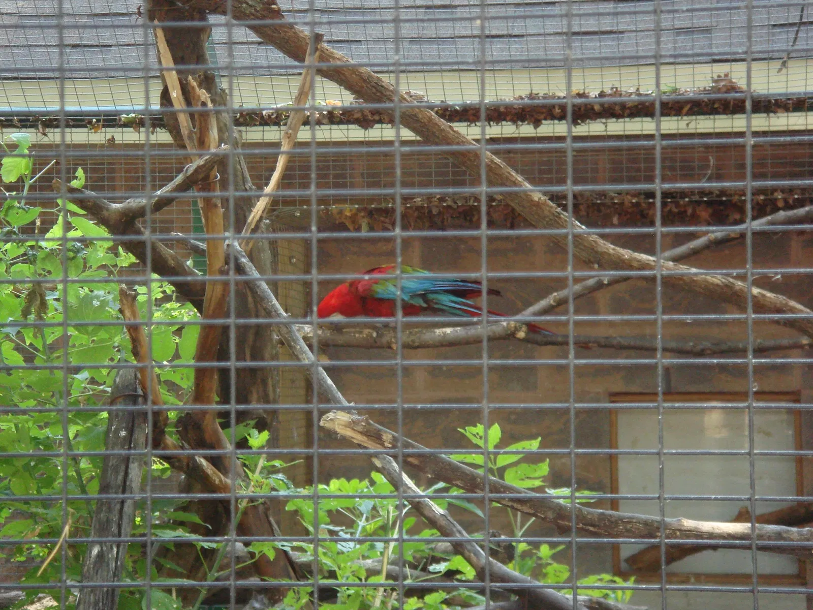 Riverview Park & Zoo