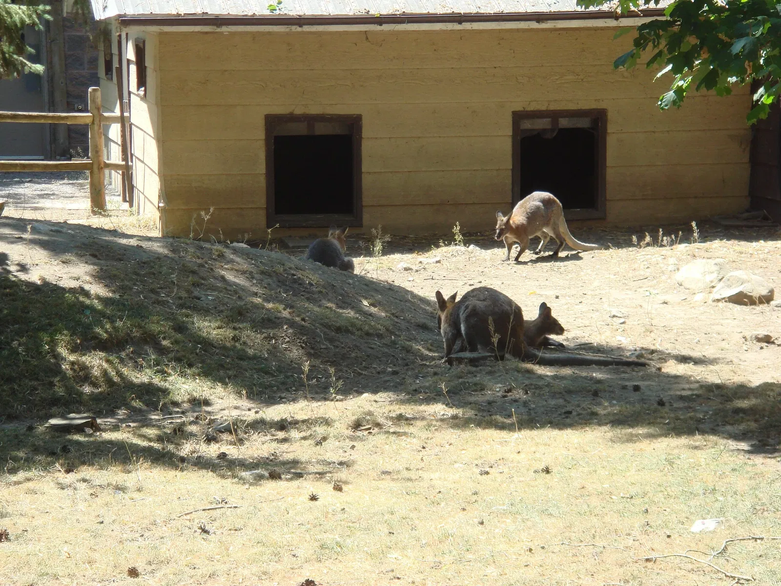 Riverview Park & Zoo