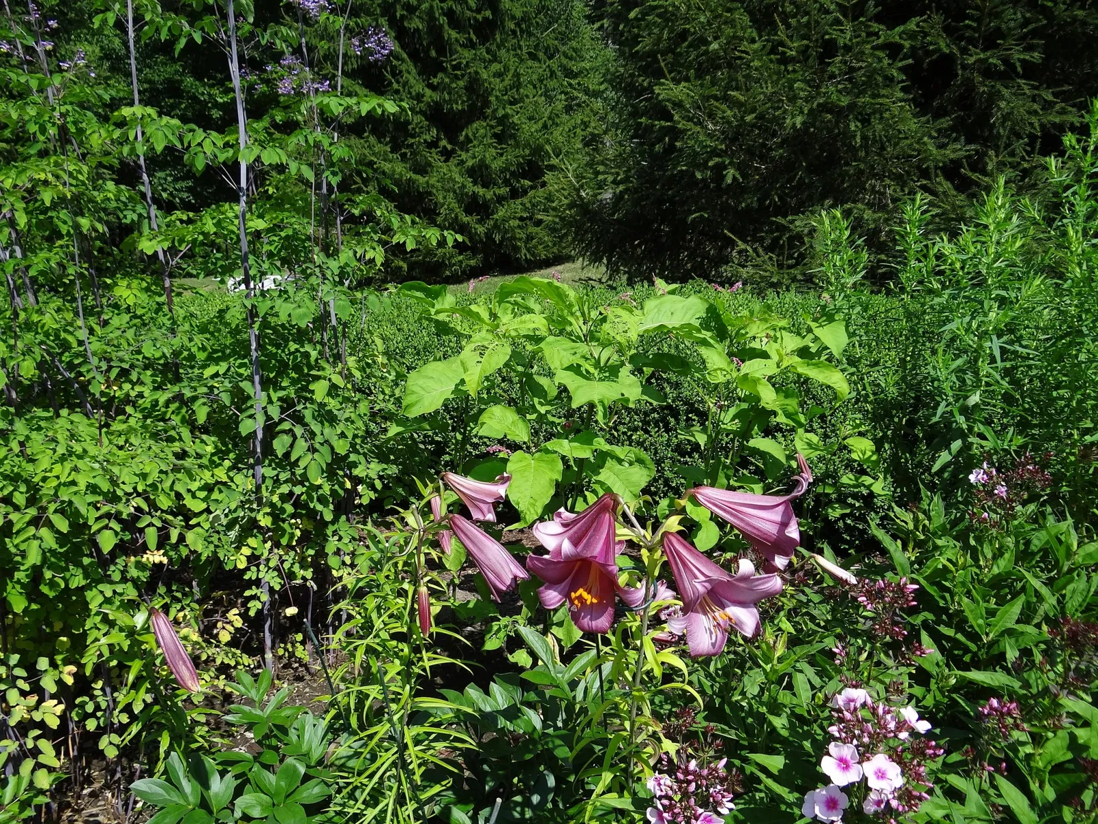 The Mount (Massachusetts)