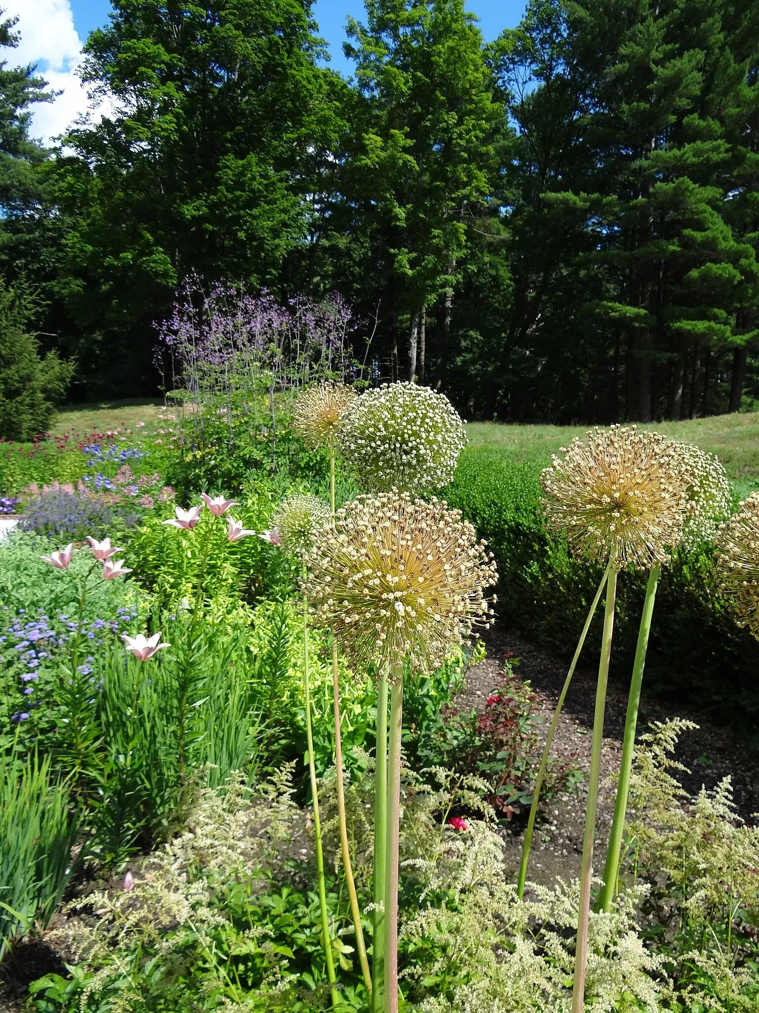 The Mount (Massachusetts)