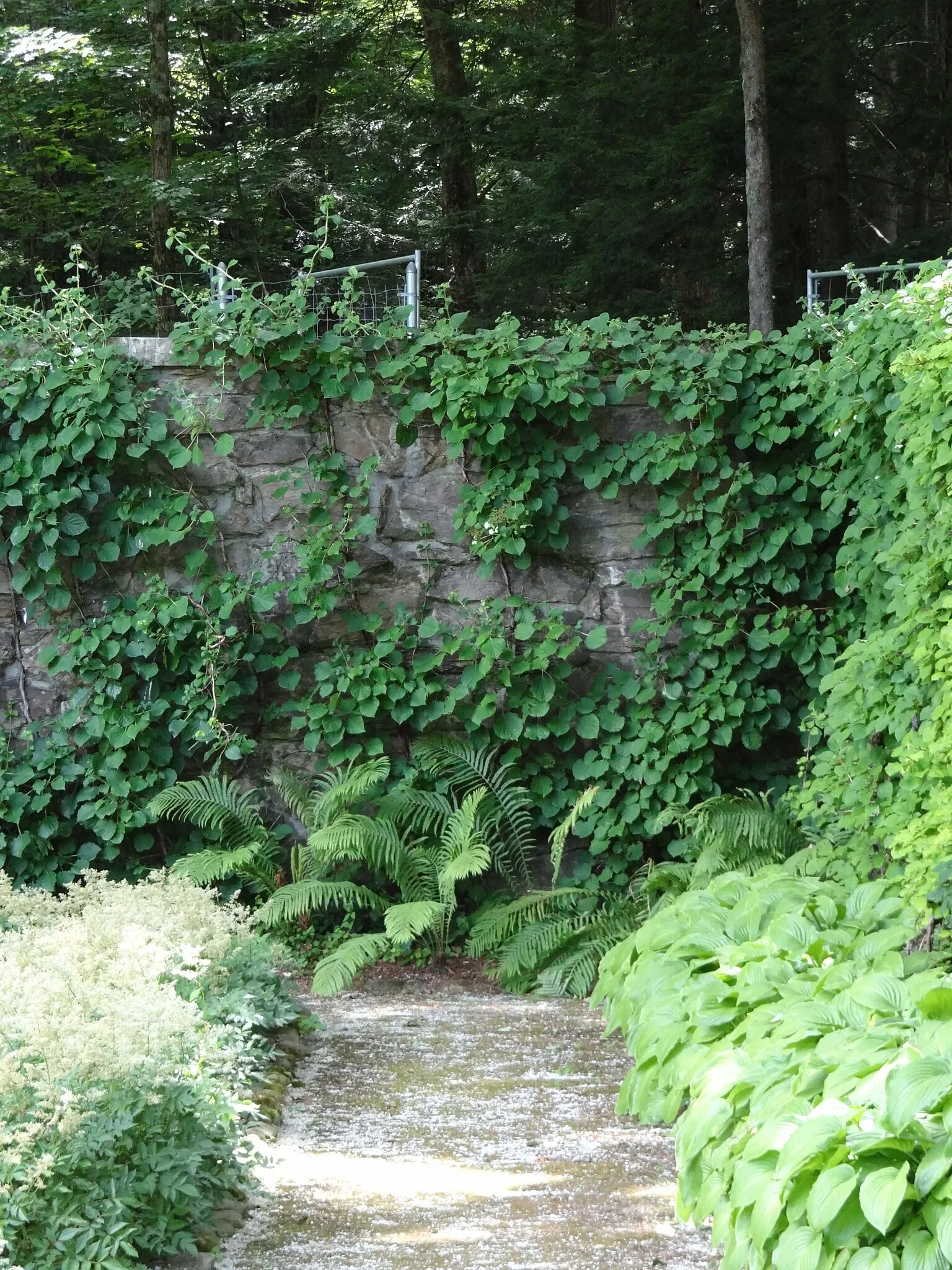 The Mount (Massachusetts)