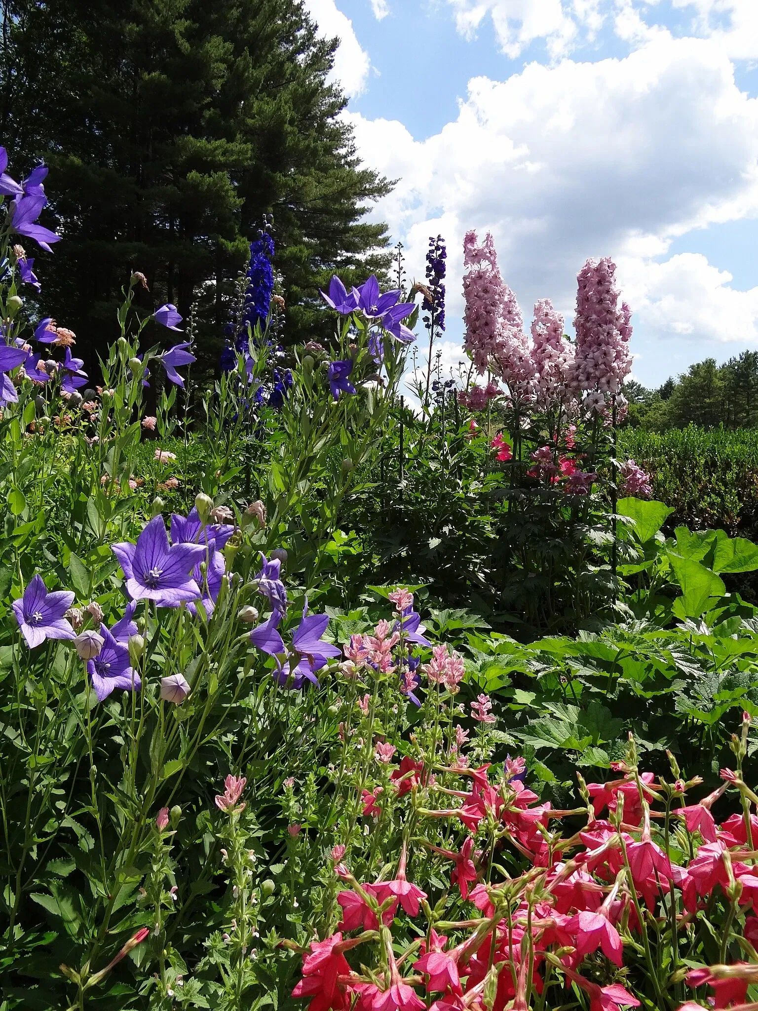 The Mount (Massachusetts)