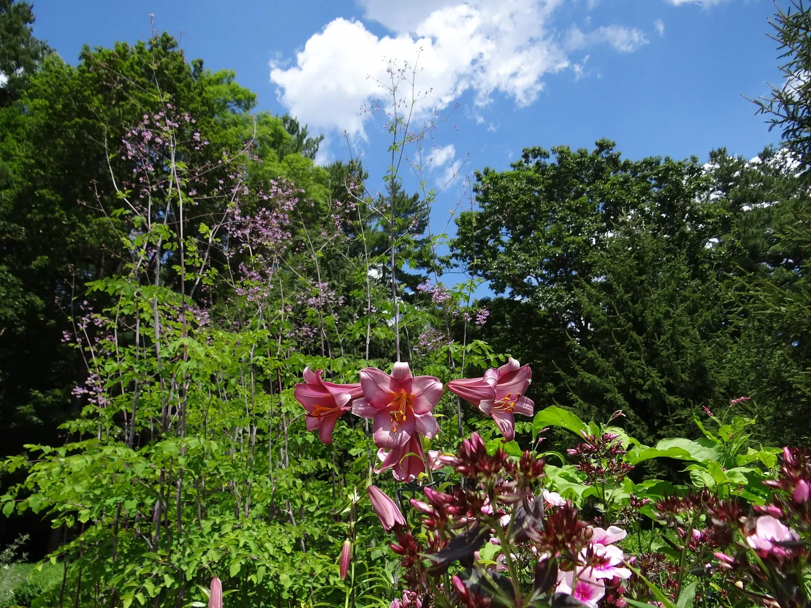 The Mount (Massachusetts)