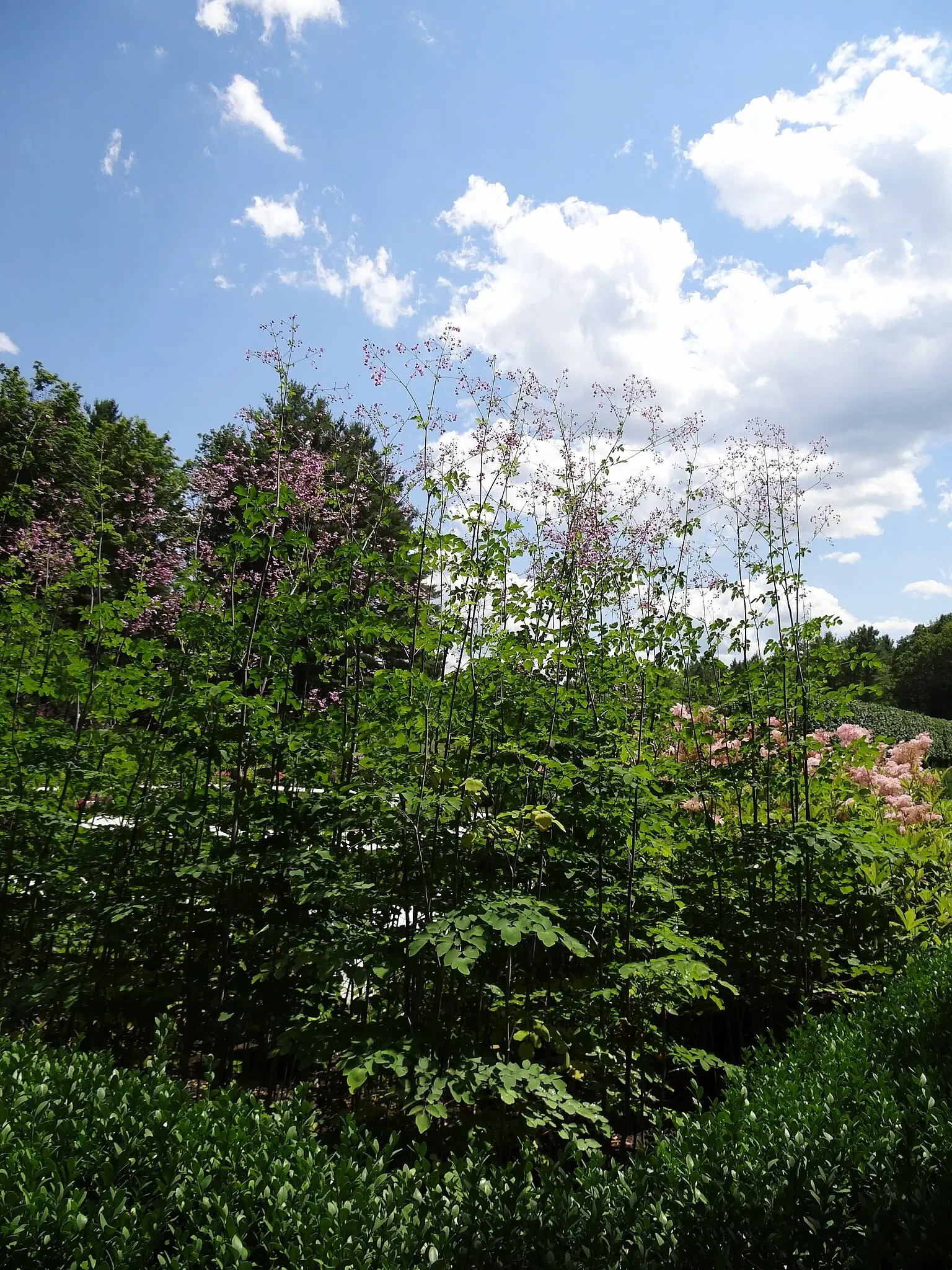 The Mount (Massachusetts)