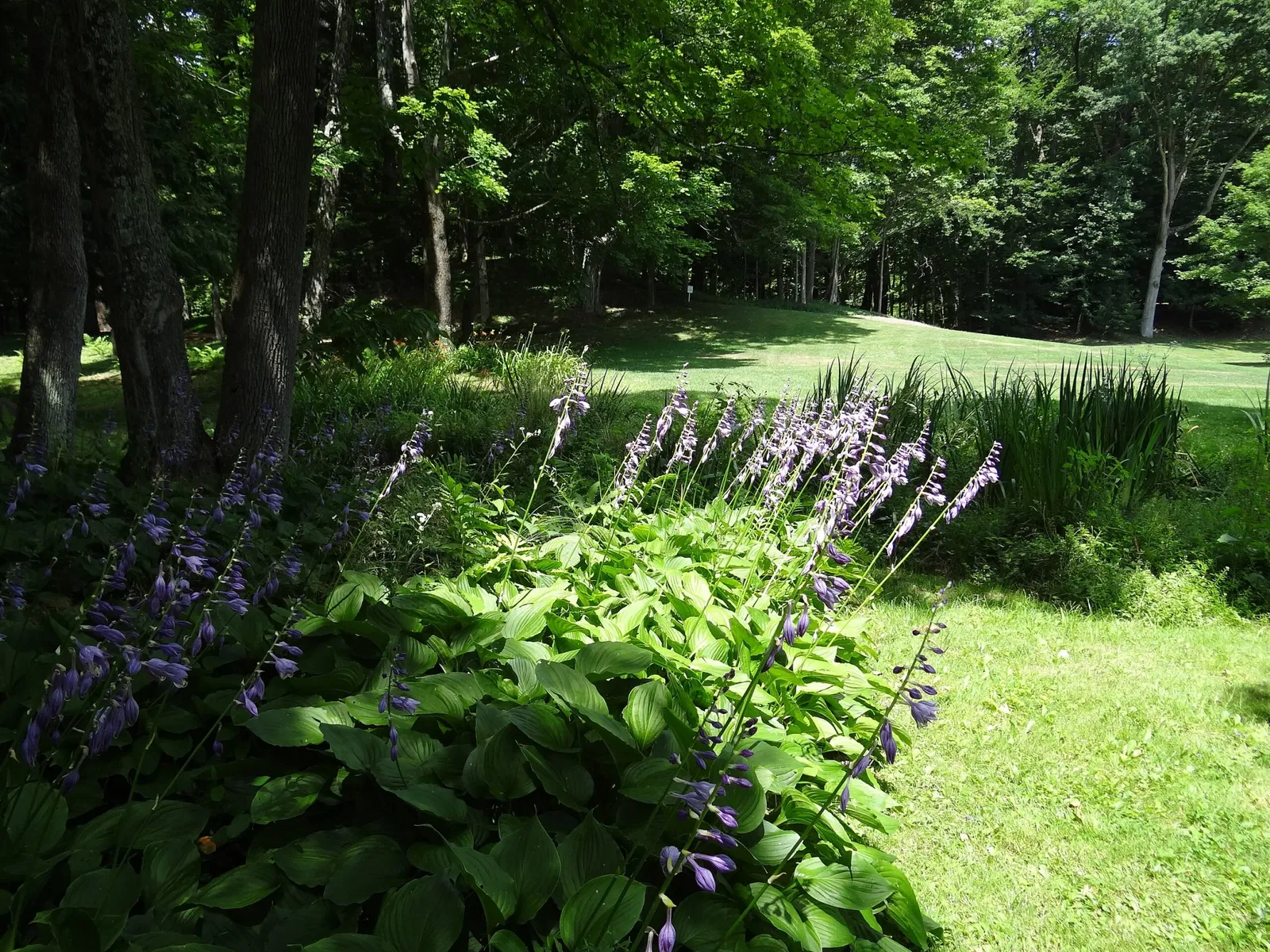 The Mount (Massachusetts)