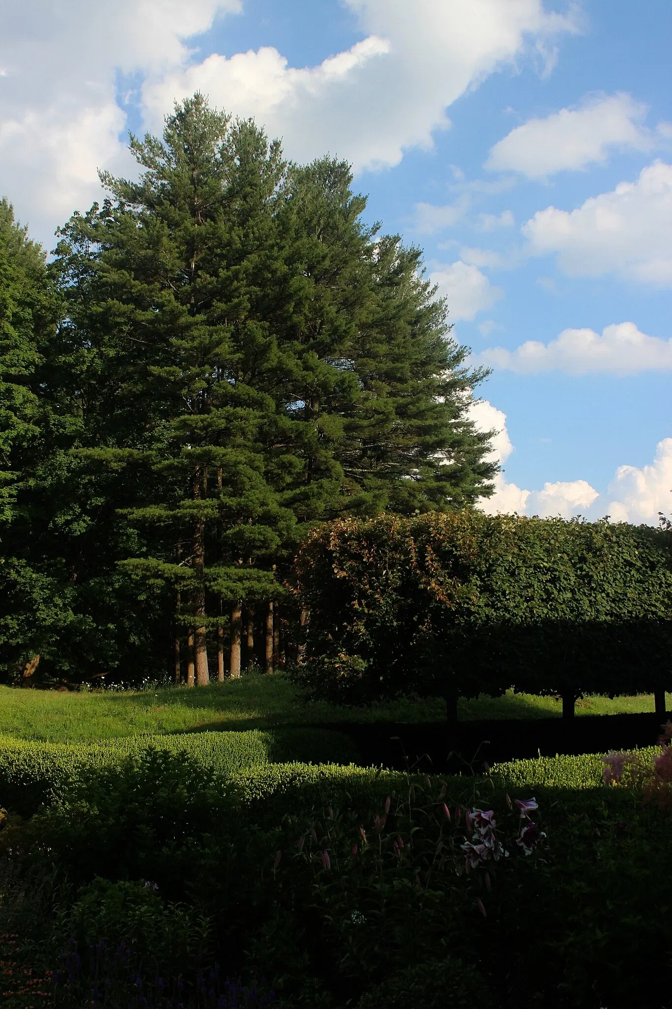 The Mount (Massachusetts)