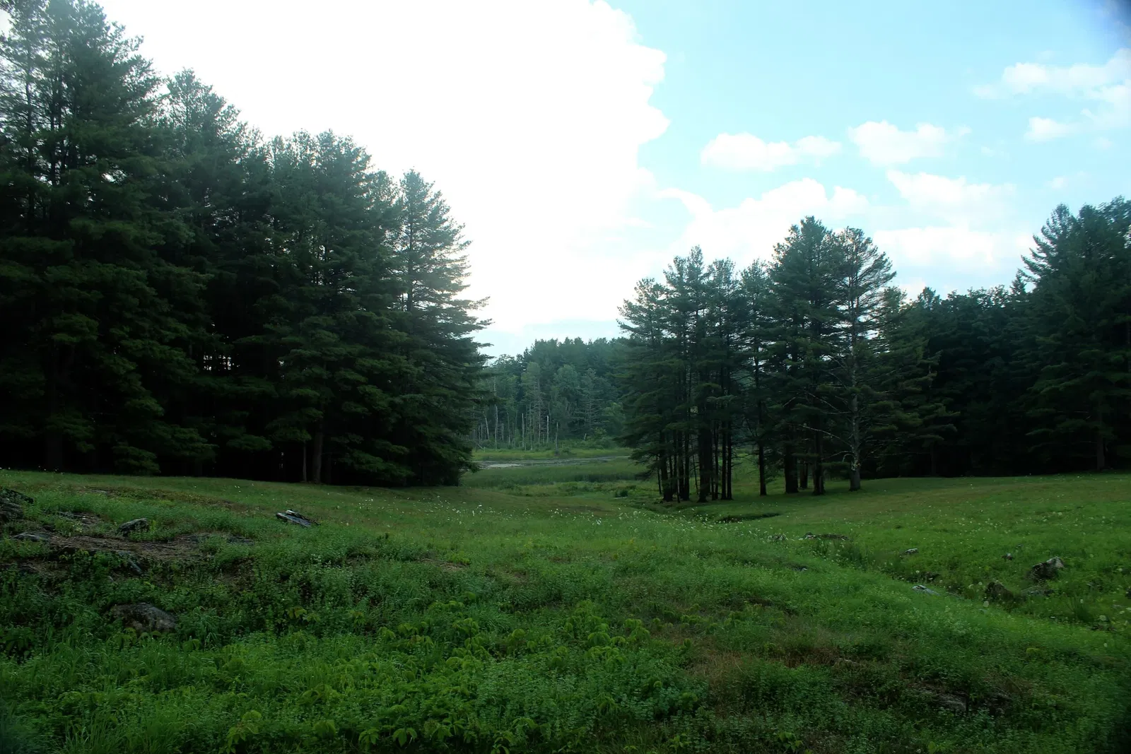 The Mount (Massachusetts)