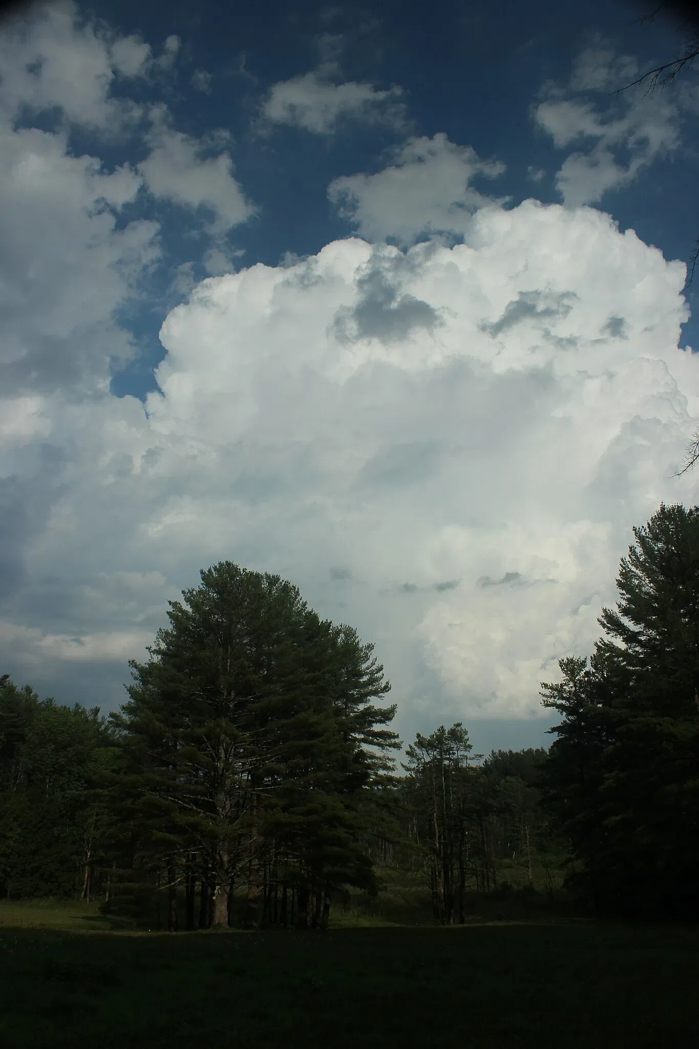 The Mount (Massachusetts)