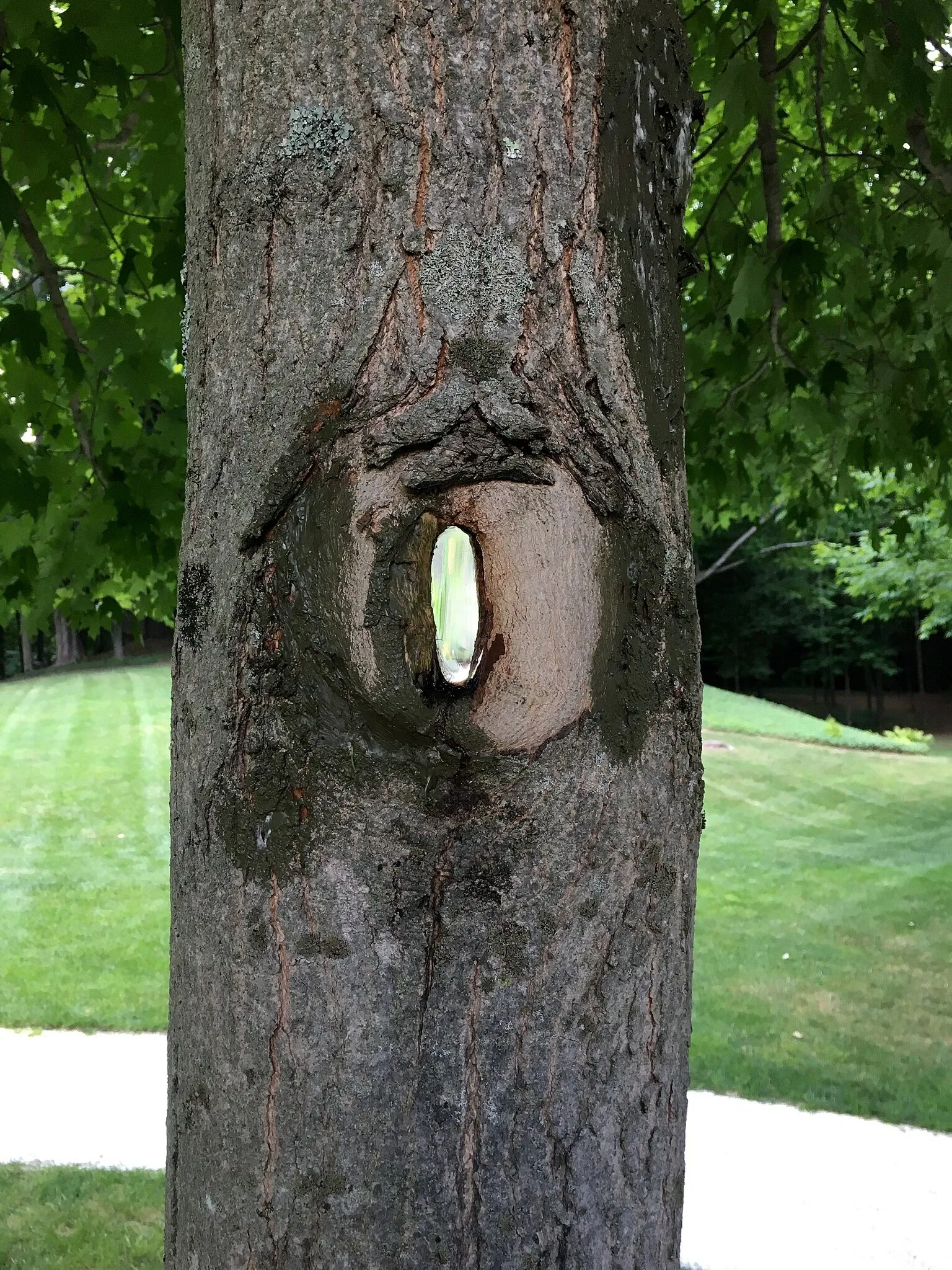 The Mount (Massachusetts)