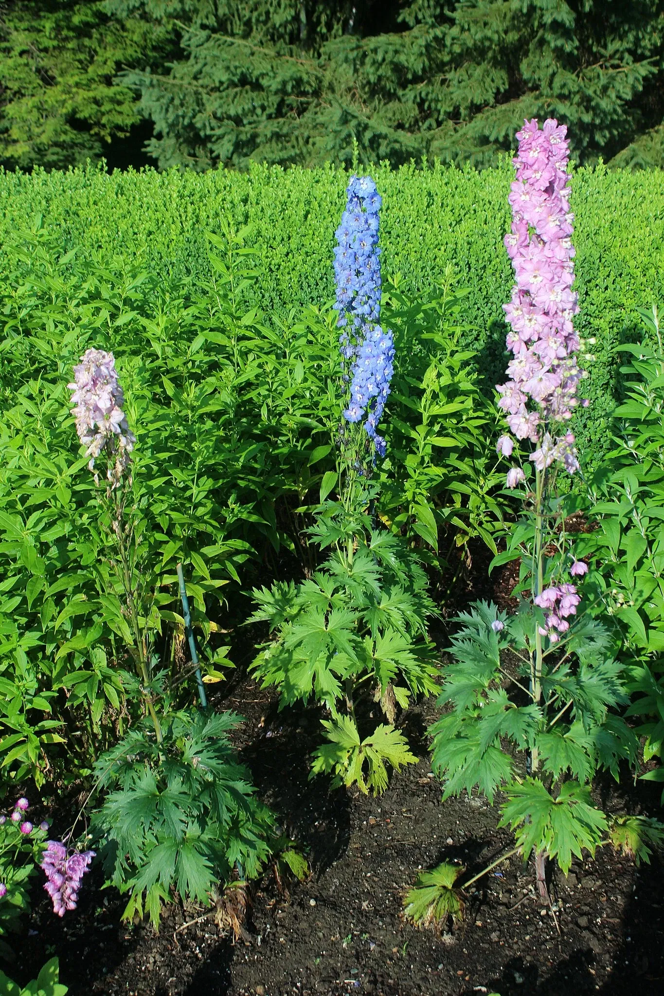 The Mount (Massachusetts)