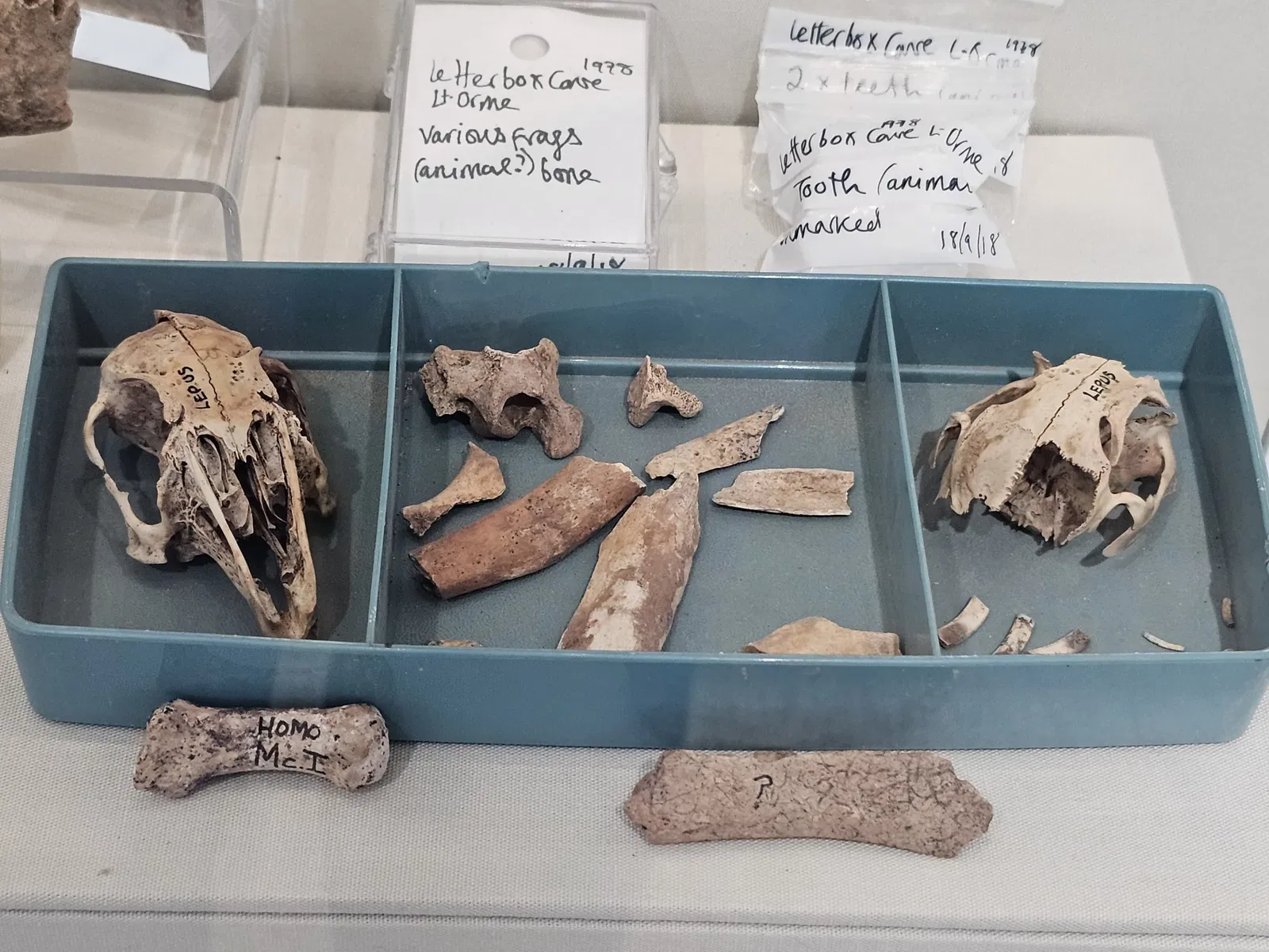 Llandudno Museum and Gallery