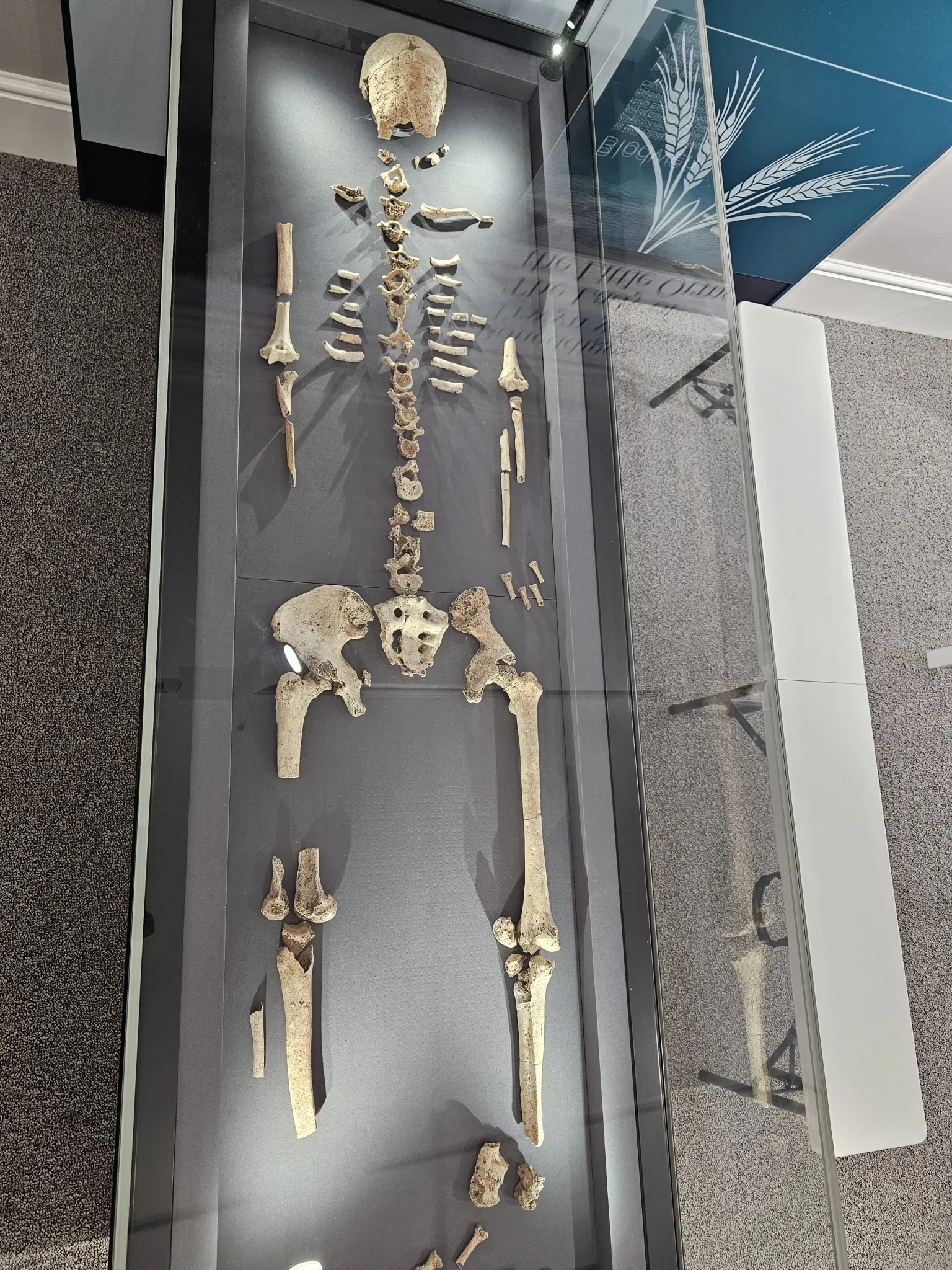 Llandudno Museum and Gallery