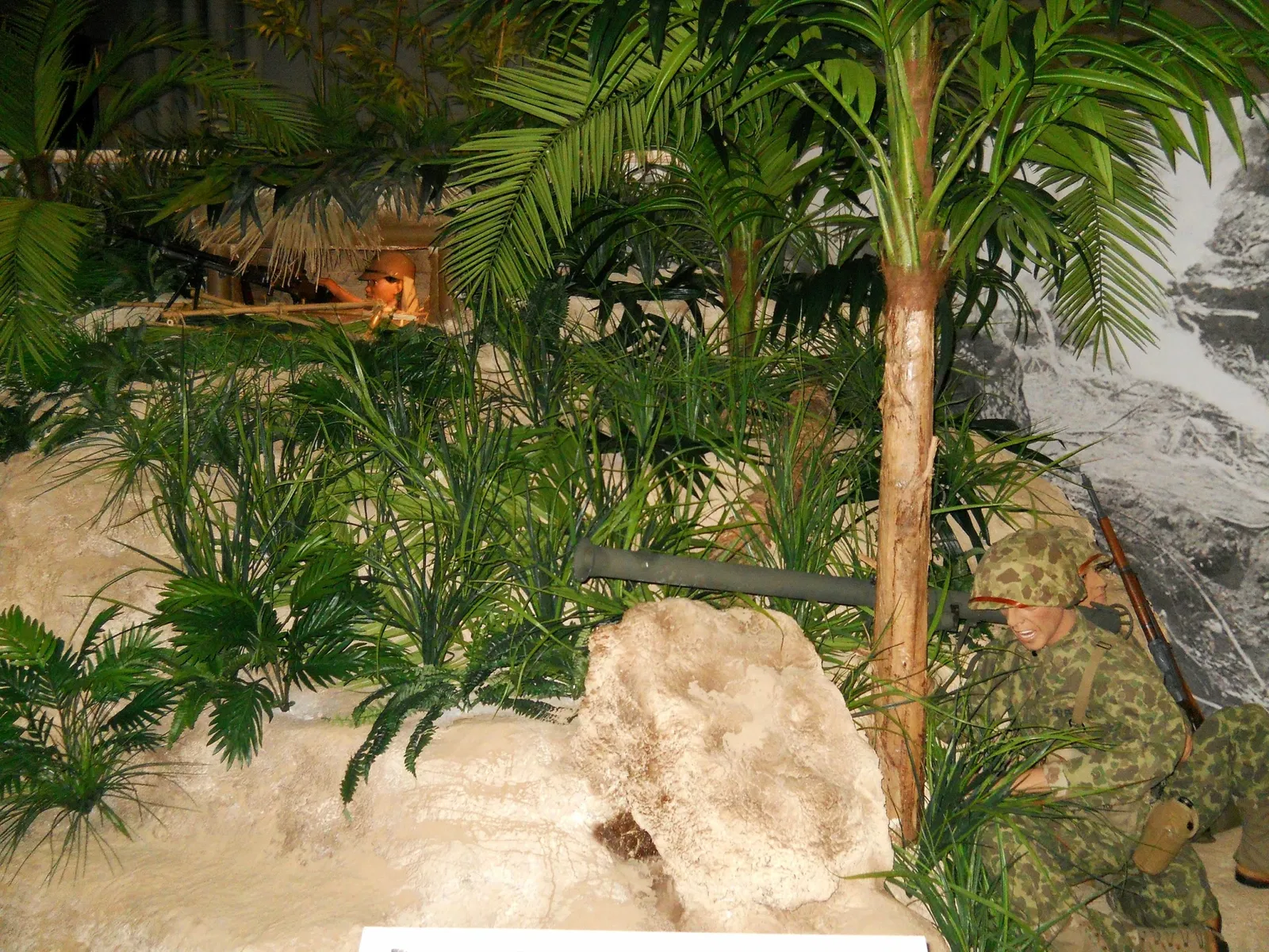 Mississippi Armed Forces Museum