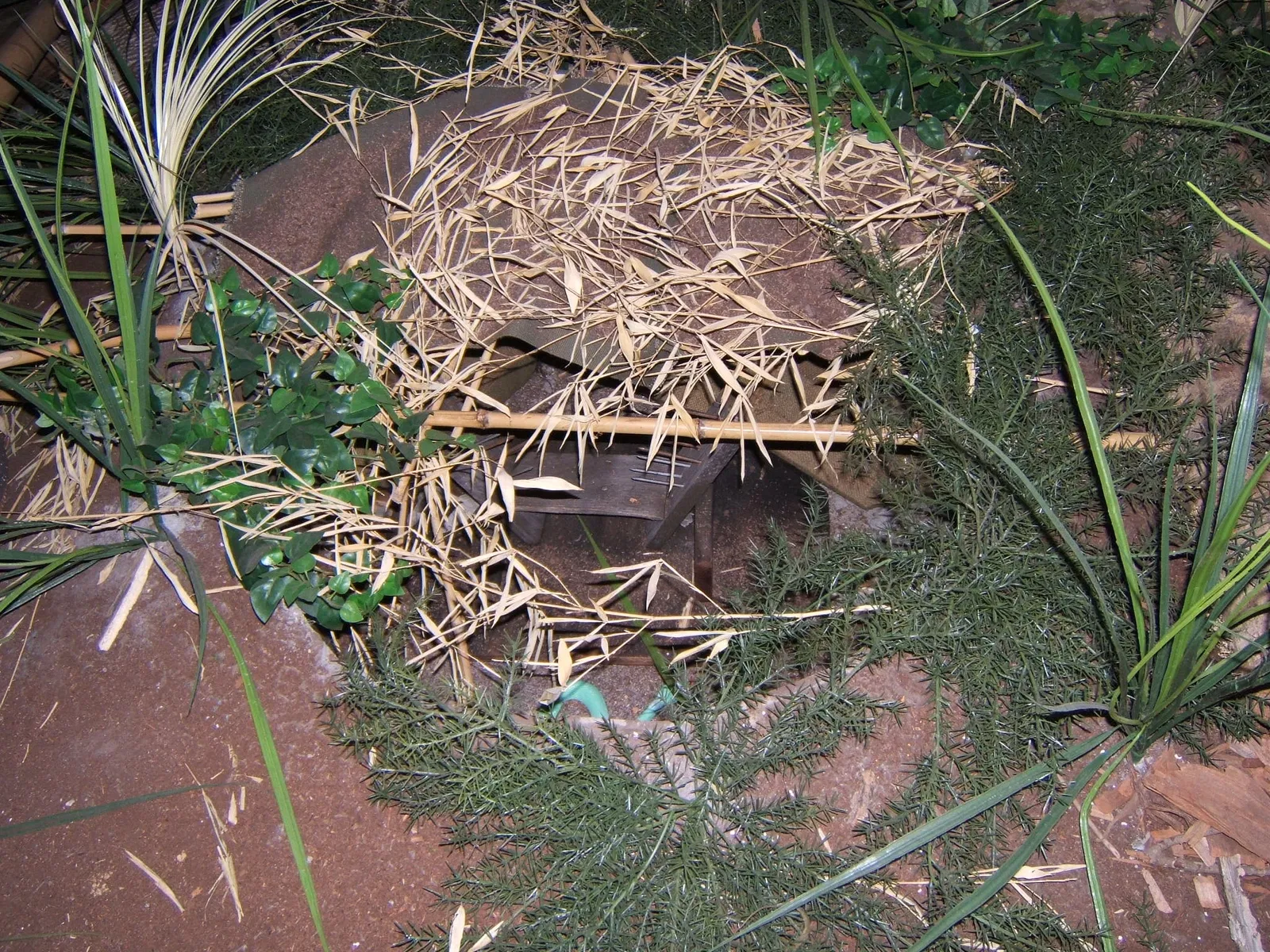 Mississippi Armed Forces Museum